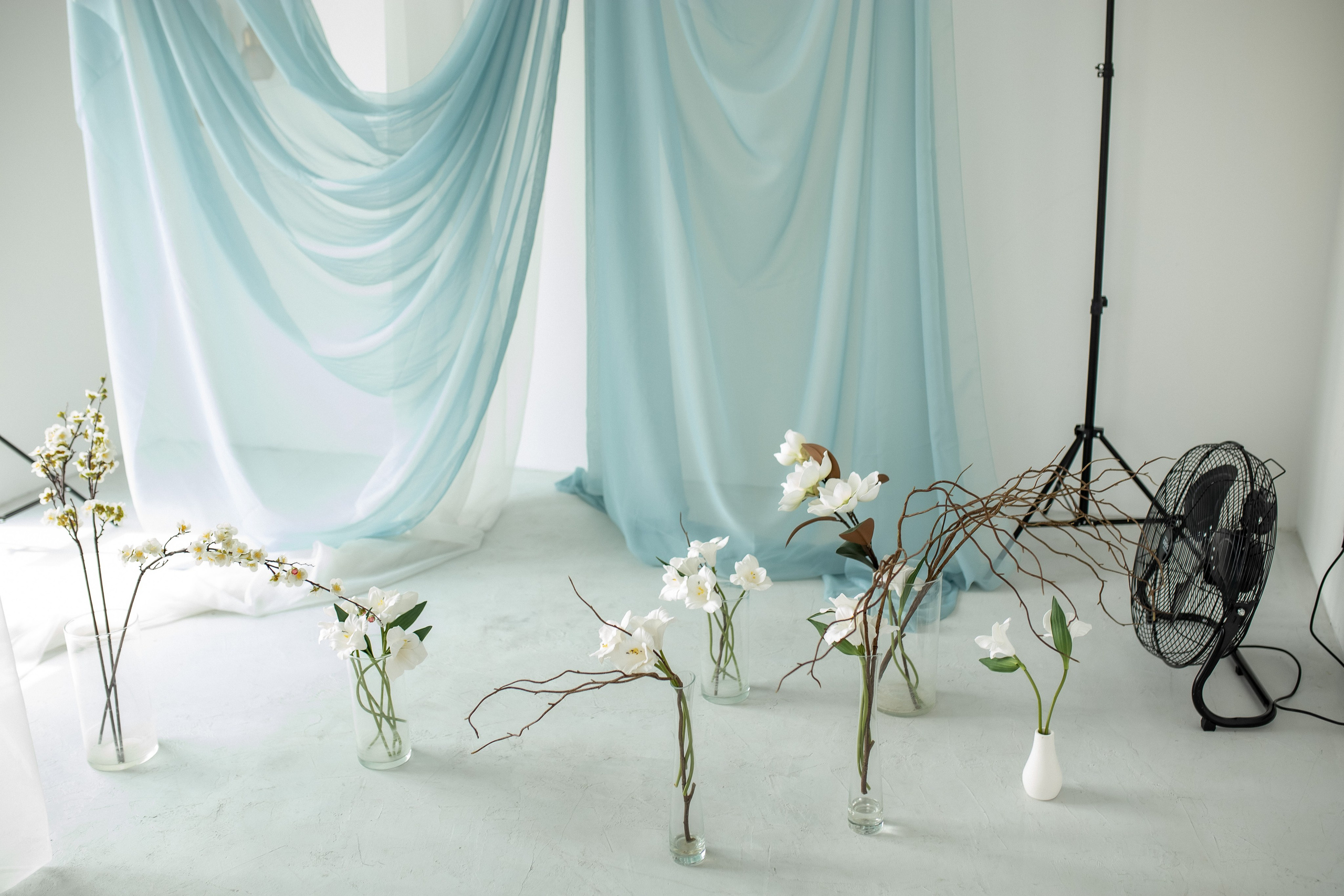 Подарок на день рождения!. Профессиональный фотограф, Москва |Видное Елена Елизарова