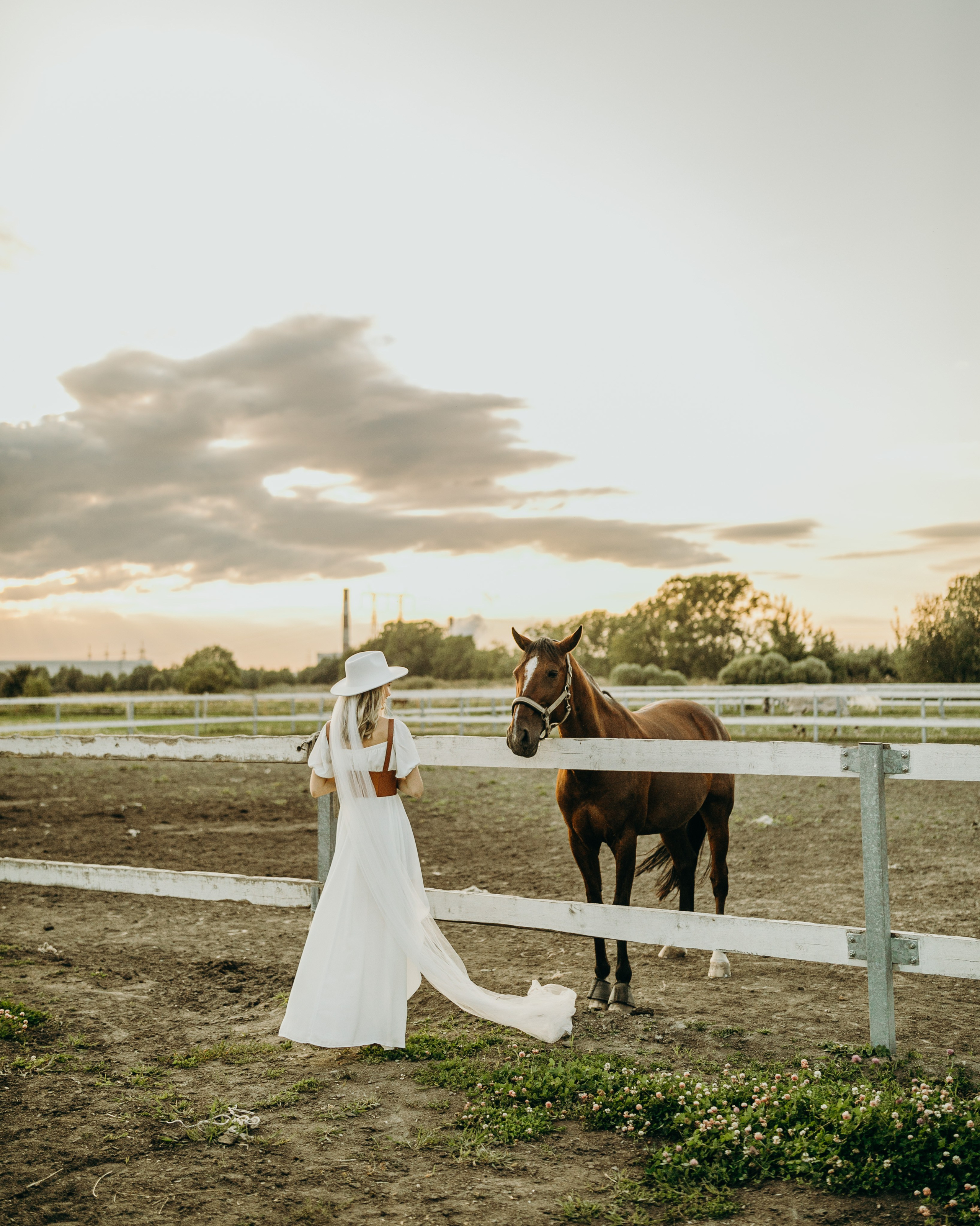 Николай и Вероника. Свадебный и репортажный фотограф в Санкт-Петербурге Косимов Иззат