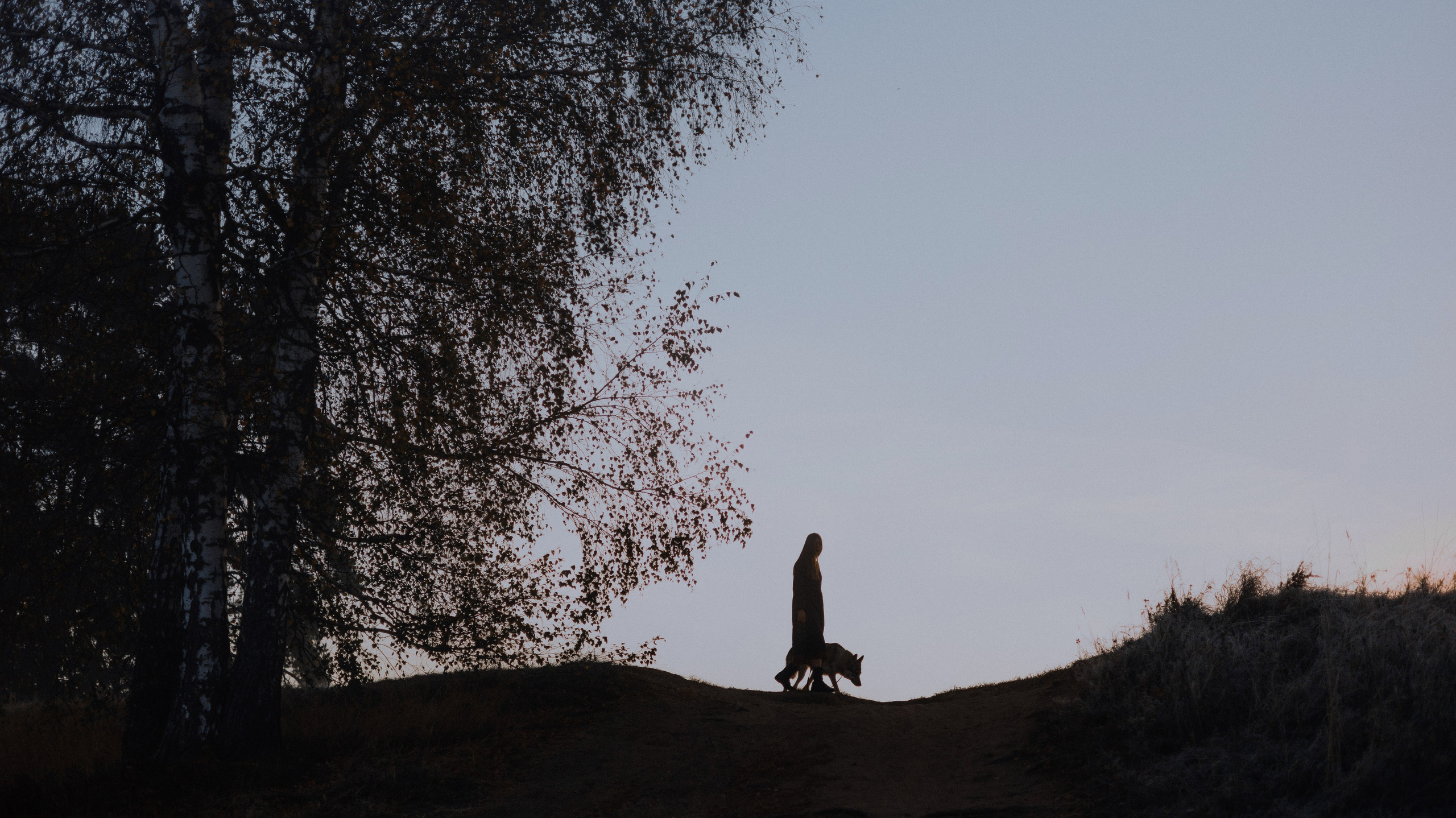 Полина и Вегард. Фотограф-анималист Богданова Полина