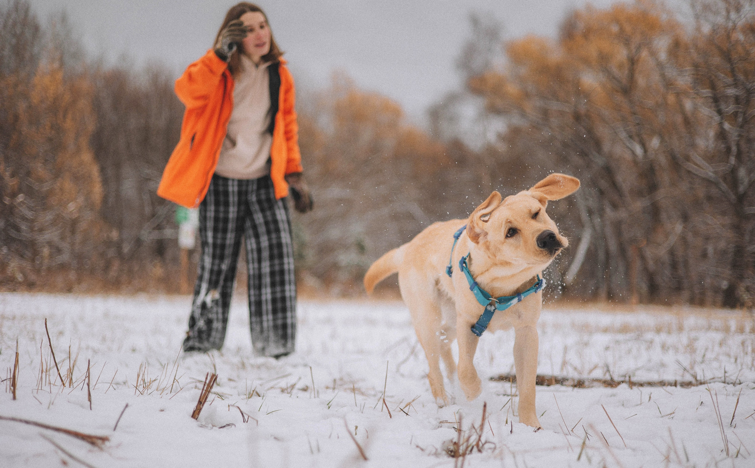 Маргарита и Варди. Фотограф-анималист Богданова Полина
