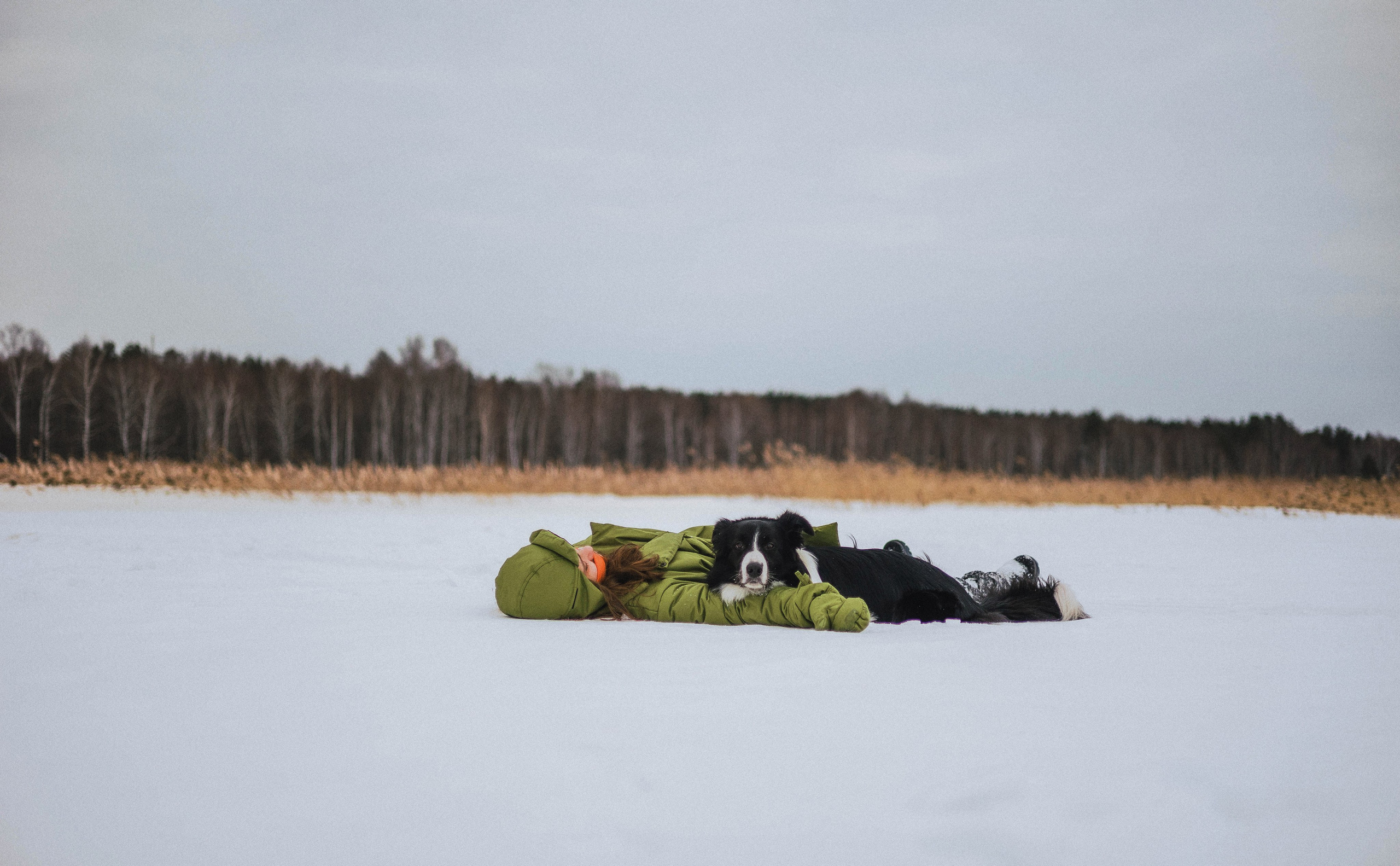 Маша, Рэм и Ньютон. Фотограф-анималист Богданова Полина