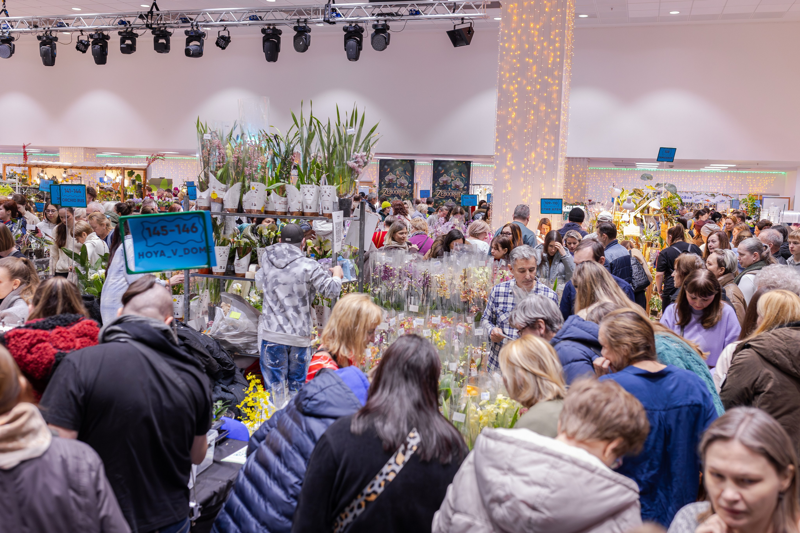 Орхидиум 12.2025. Александра Куликова фотограф, Москва