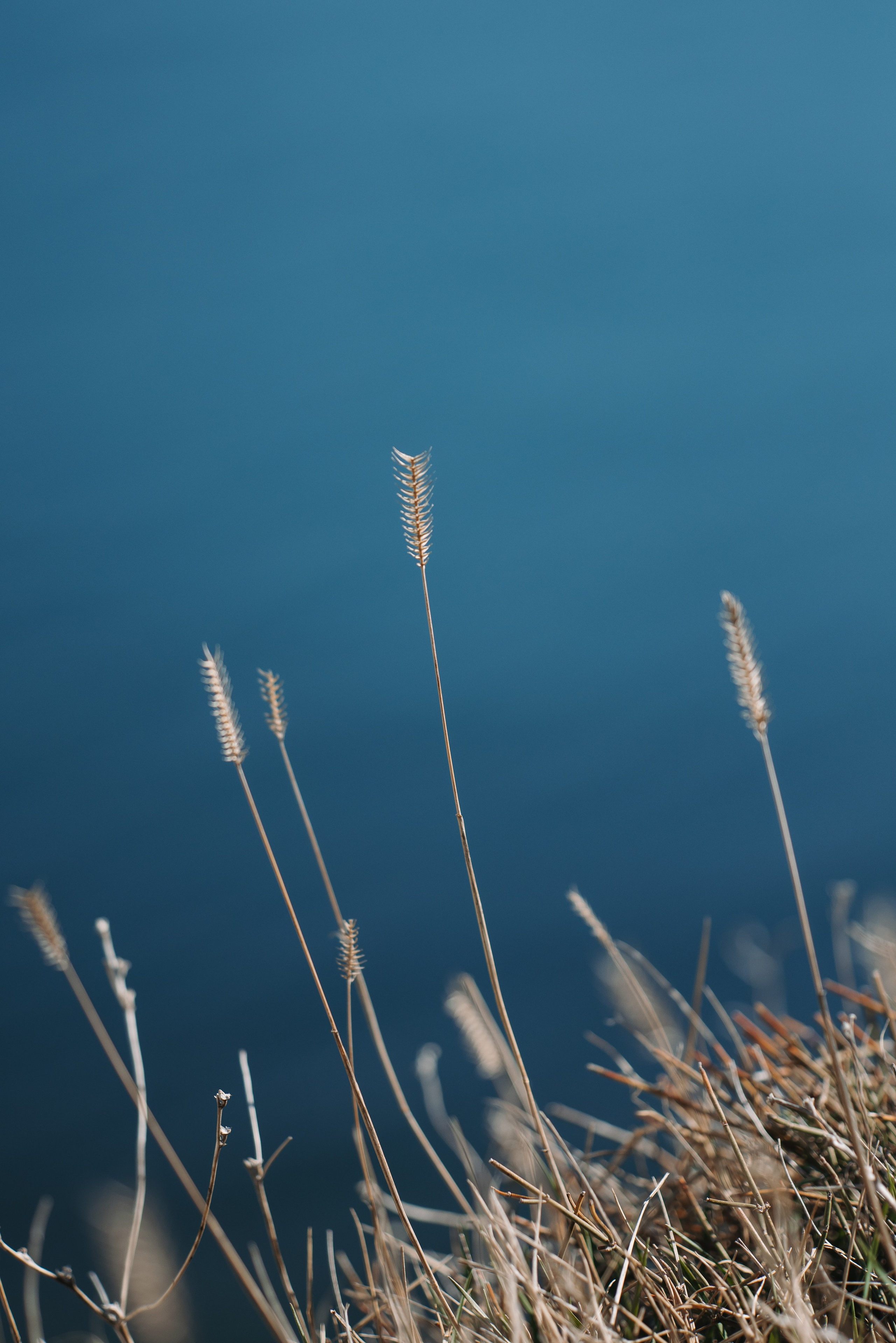 Macro. Фотограф на Юге России