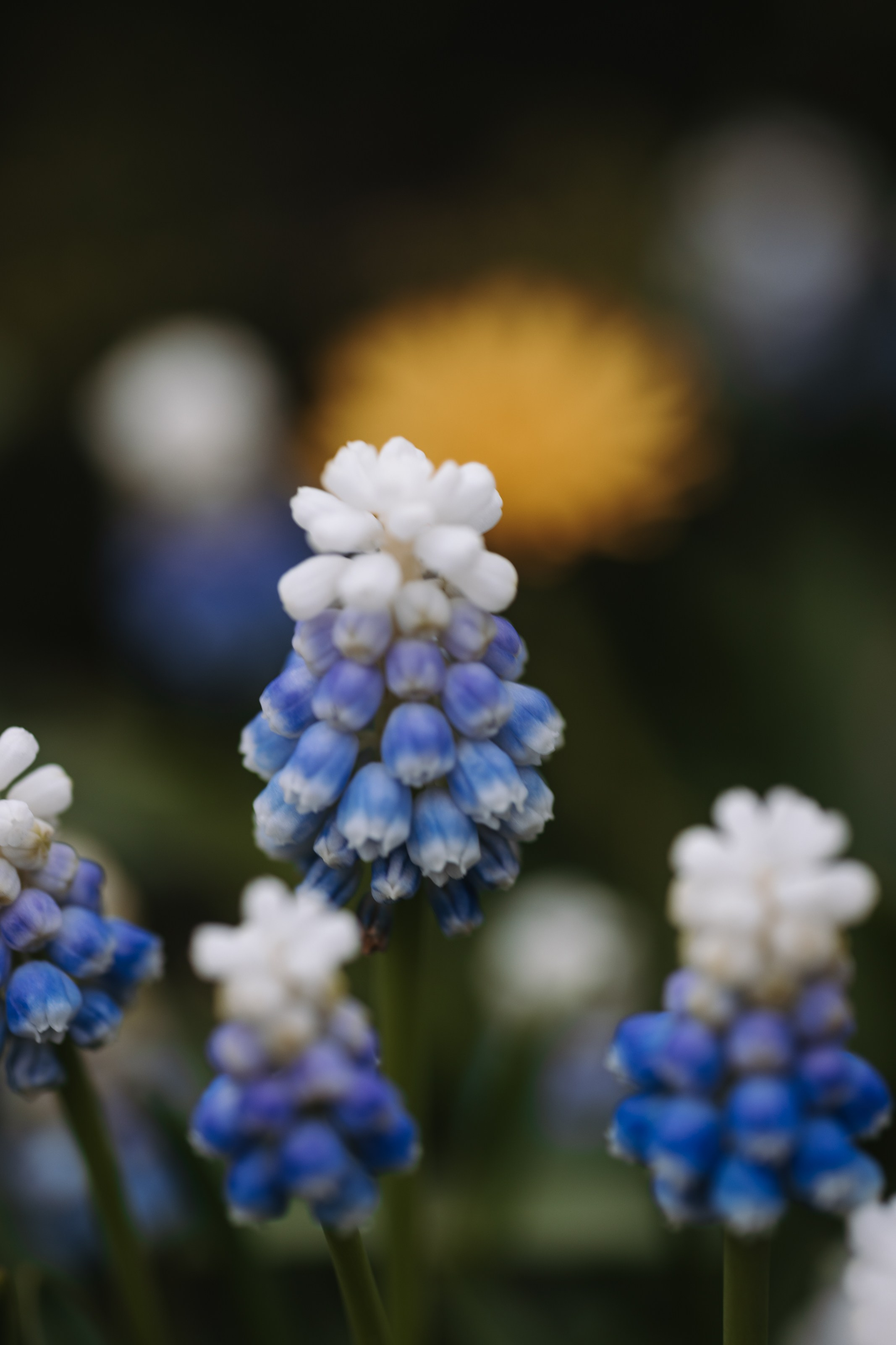 Macro. Фотограф на Юге России