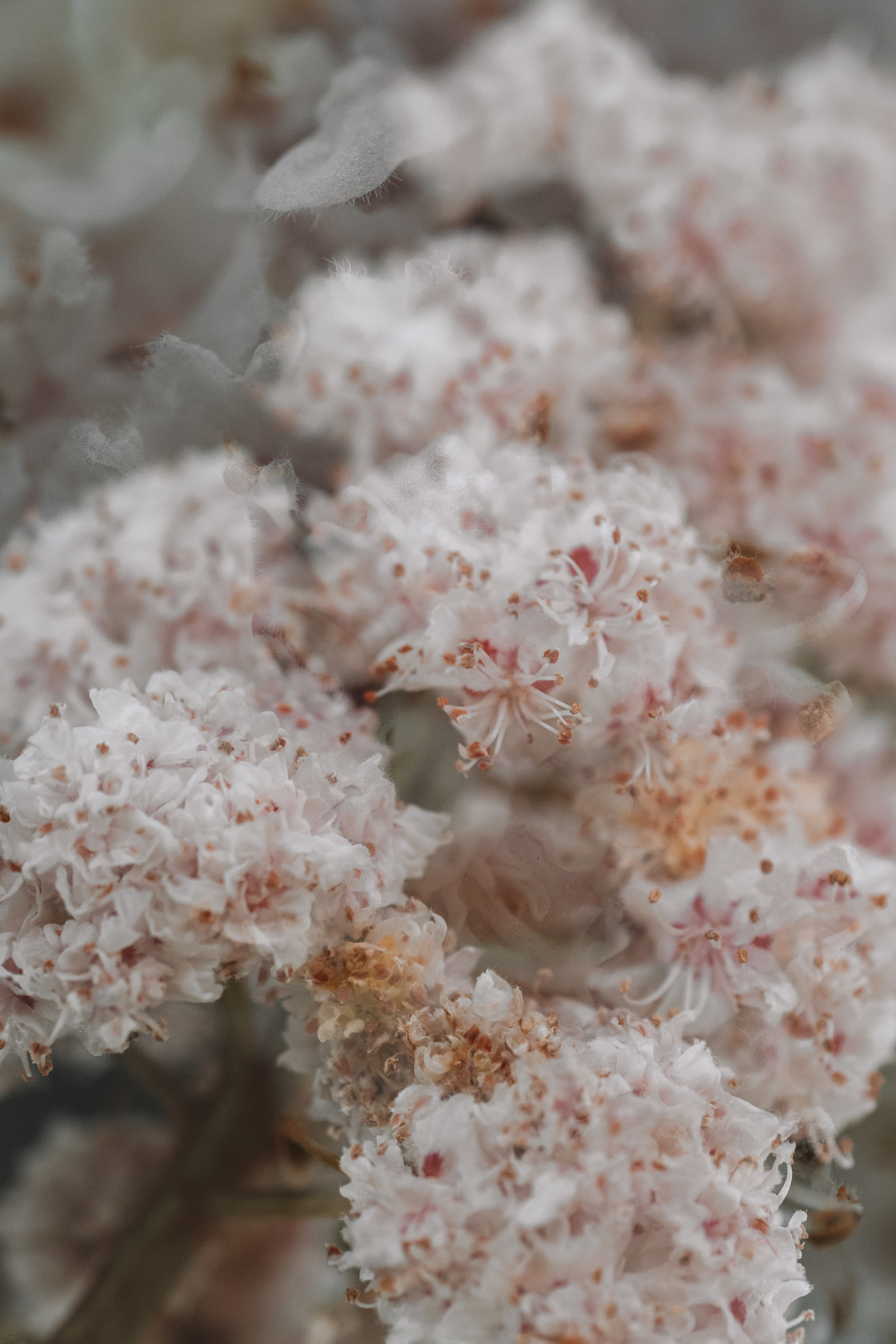 Macro. Фотограф на Юге России