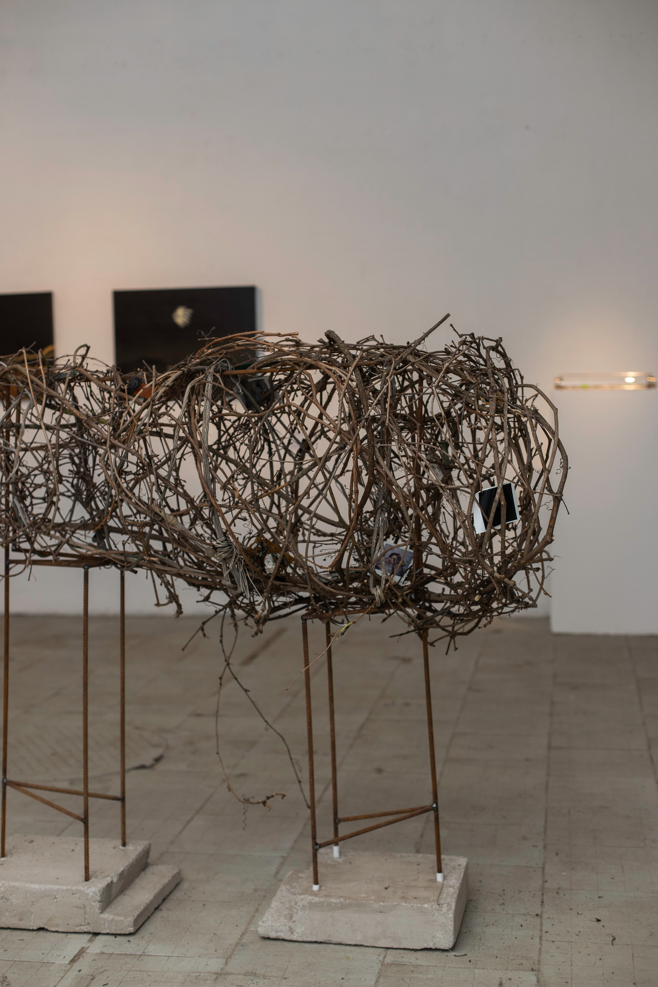 Открытие выставки пульсирующая материя. Фотограф в Москве Десятова Ксения