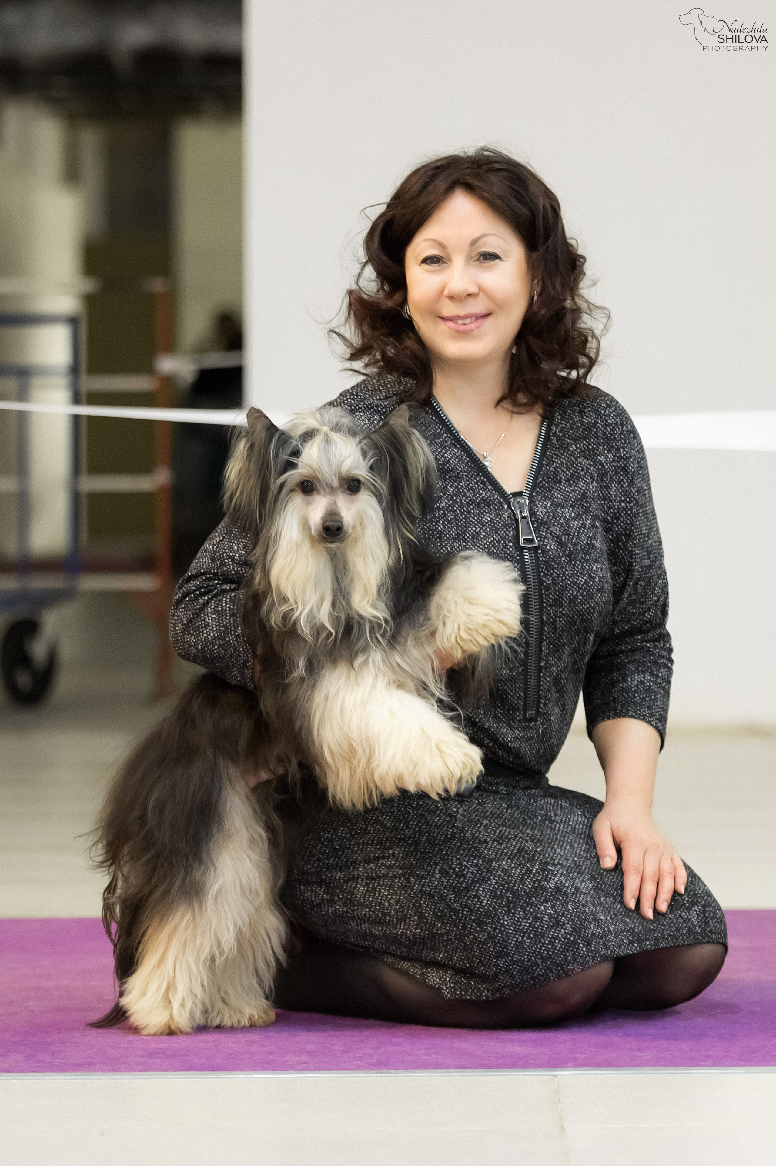 Poale Ell Bazhen. Chinese Crested Dog Kennel Poale Ell