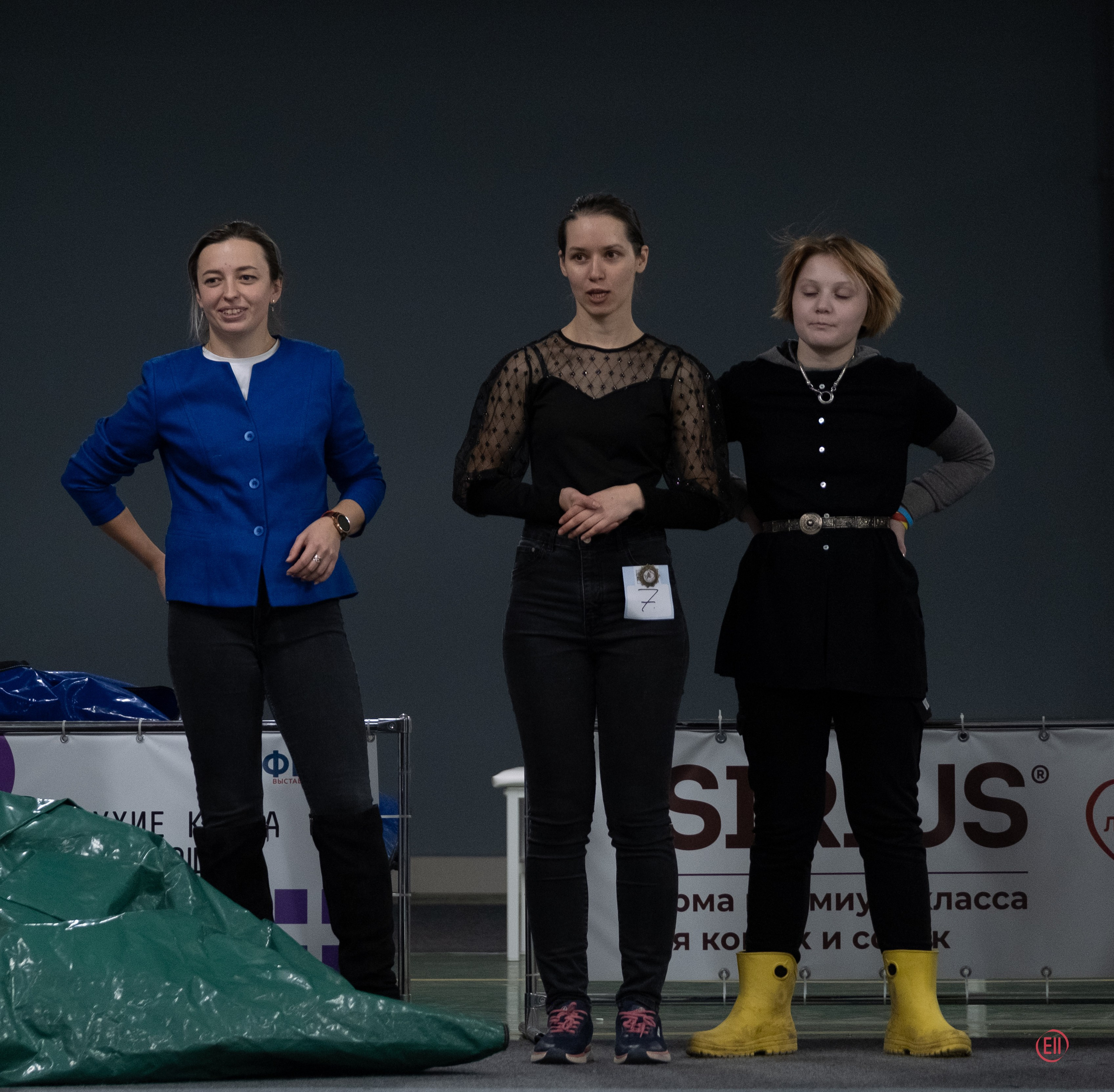 Праздник породы «Яркий мир китайских хохлатых собак». Питомник китайских хохлатых собак Poale Ell: купить щенка