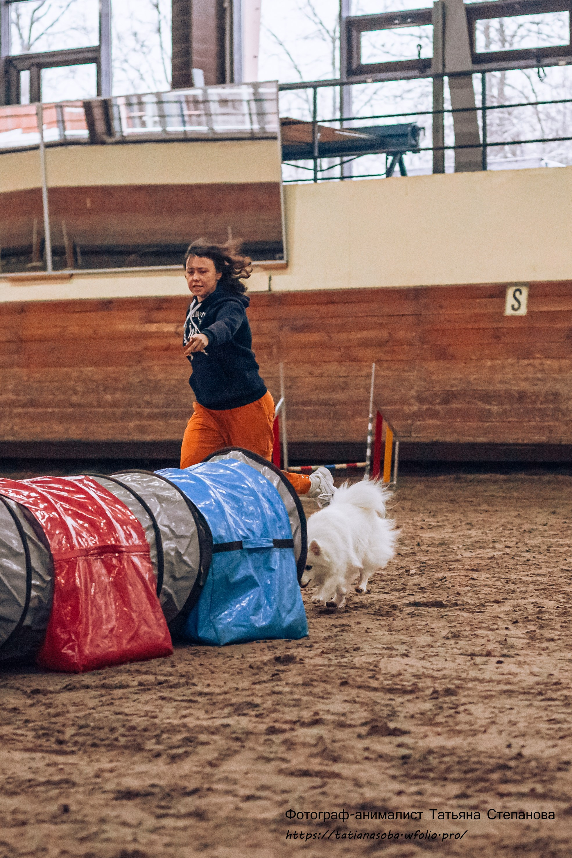 Соревнования по Аджилити 25.02.2024. Фотограф-анималист Татьяна Степанова