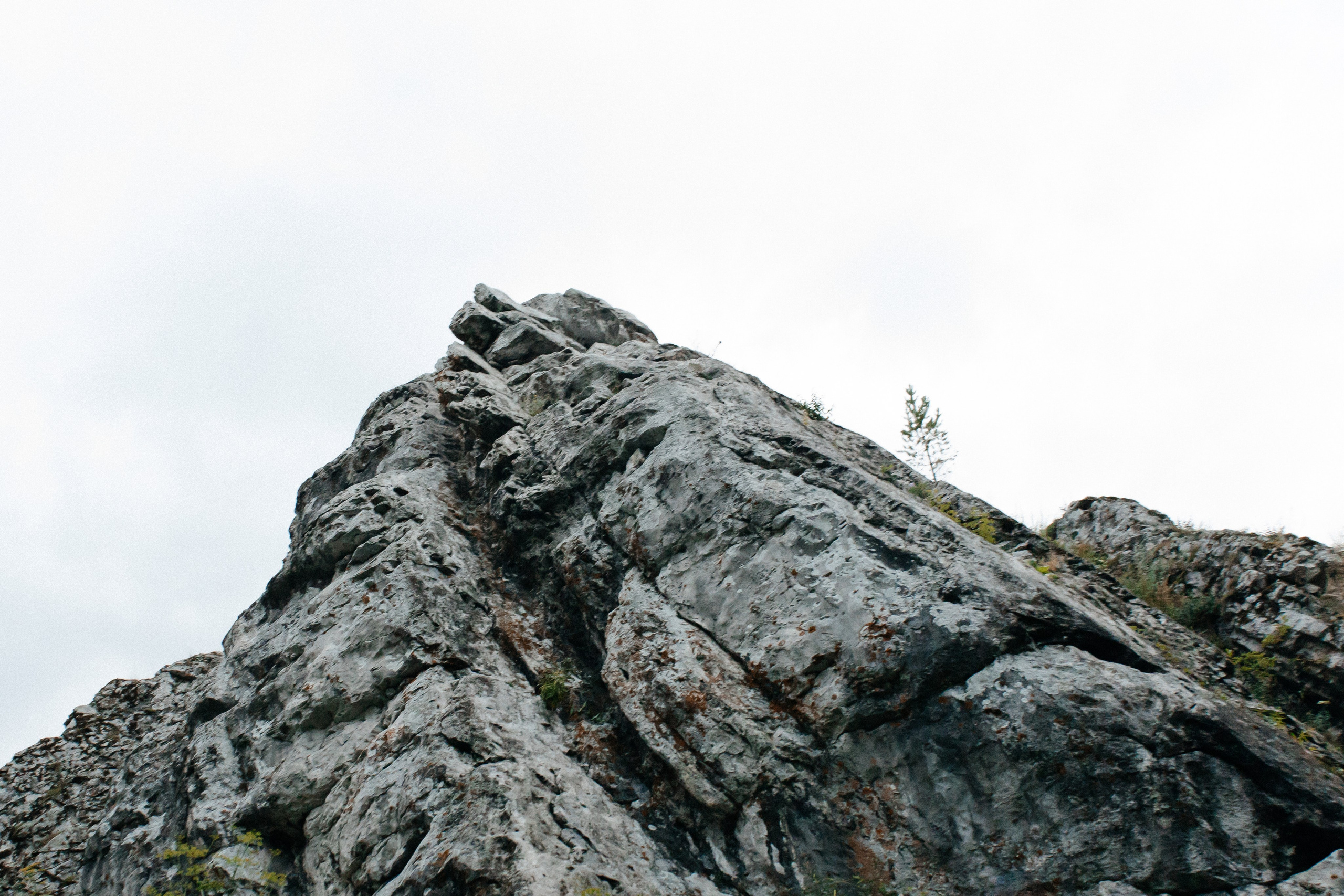 Федор & Полина. Свадебный фотограф Екатеринбург Зямбахтина Дарья