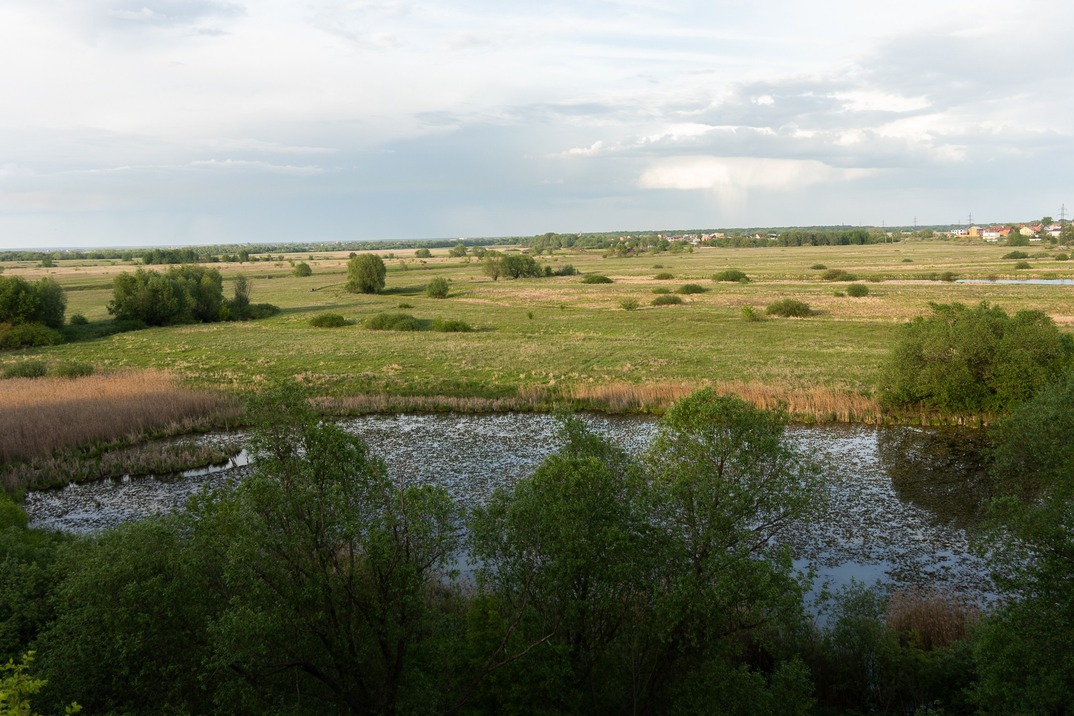 Новый фотик. Design by — фото, обучение, портфолио. Фотограф Рязань