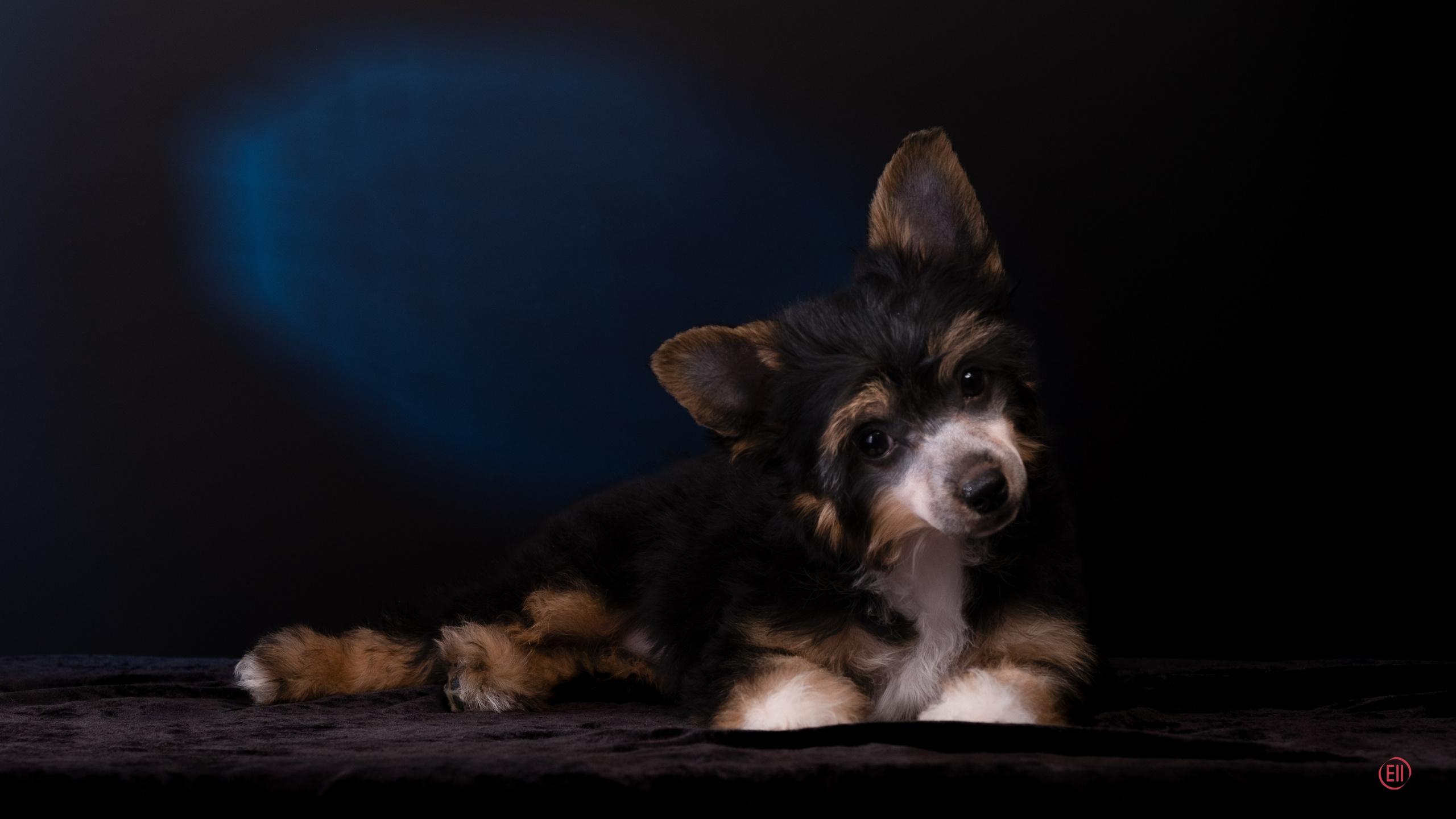 07.06.2025 Синяя фотосессия. Фотограф в Москве