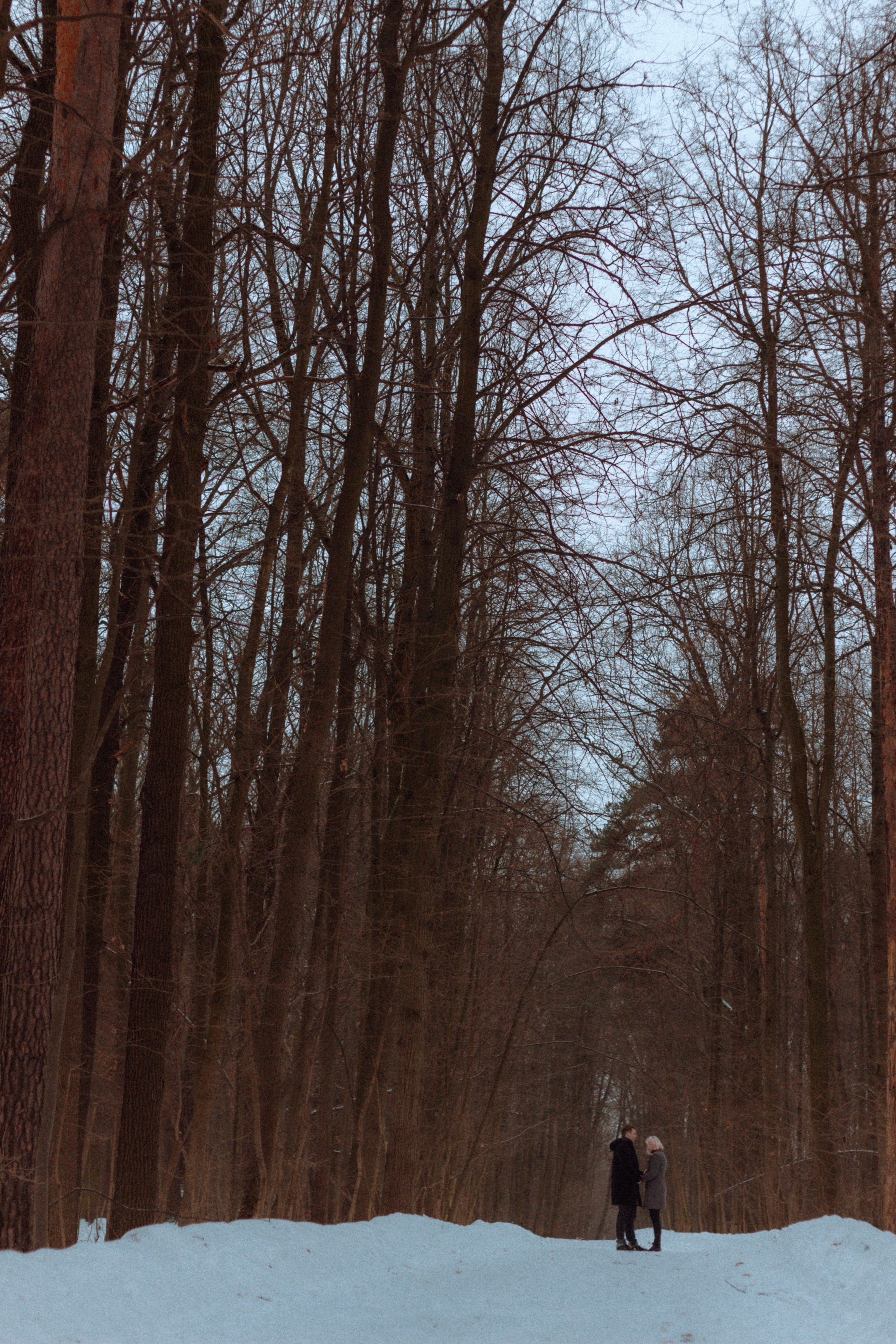 Максим и Марьям. Татьяна Афонина | Фотограф