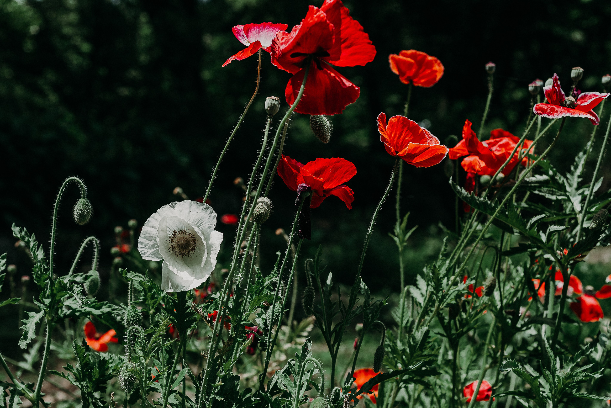 Рекламный фотограф из Гуанчжоу: путешествие по Уханю через объектив камеры. Коммерческий и предметный фотограф в Гуанчжоу Коваленко Александр