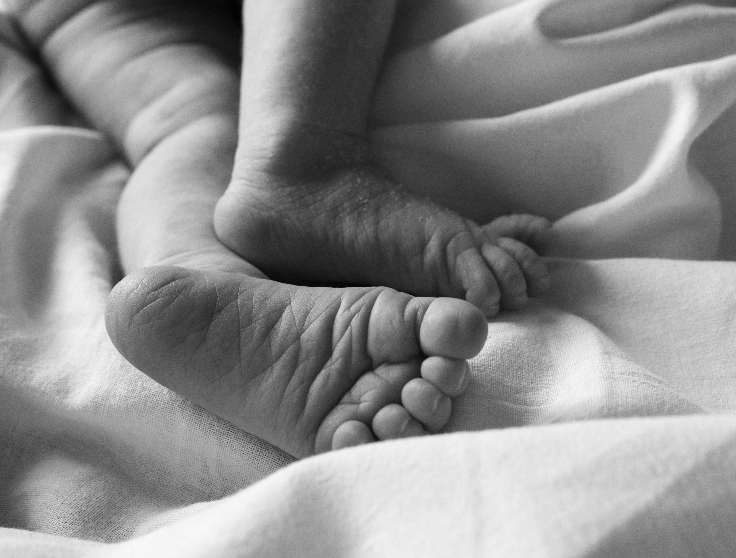 Виктор, Дарья, Виктория. Семейный фотограф в Сочи Анна Мальцева