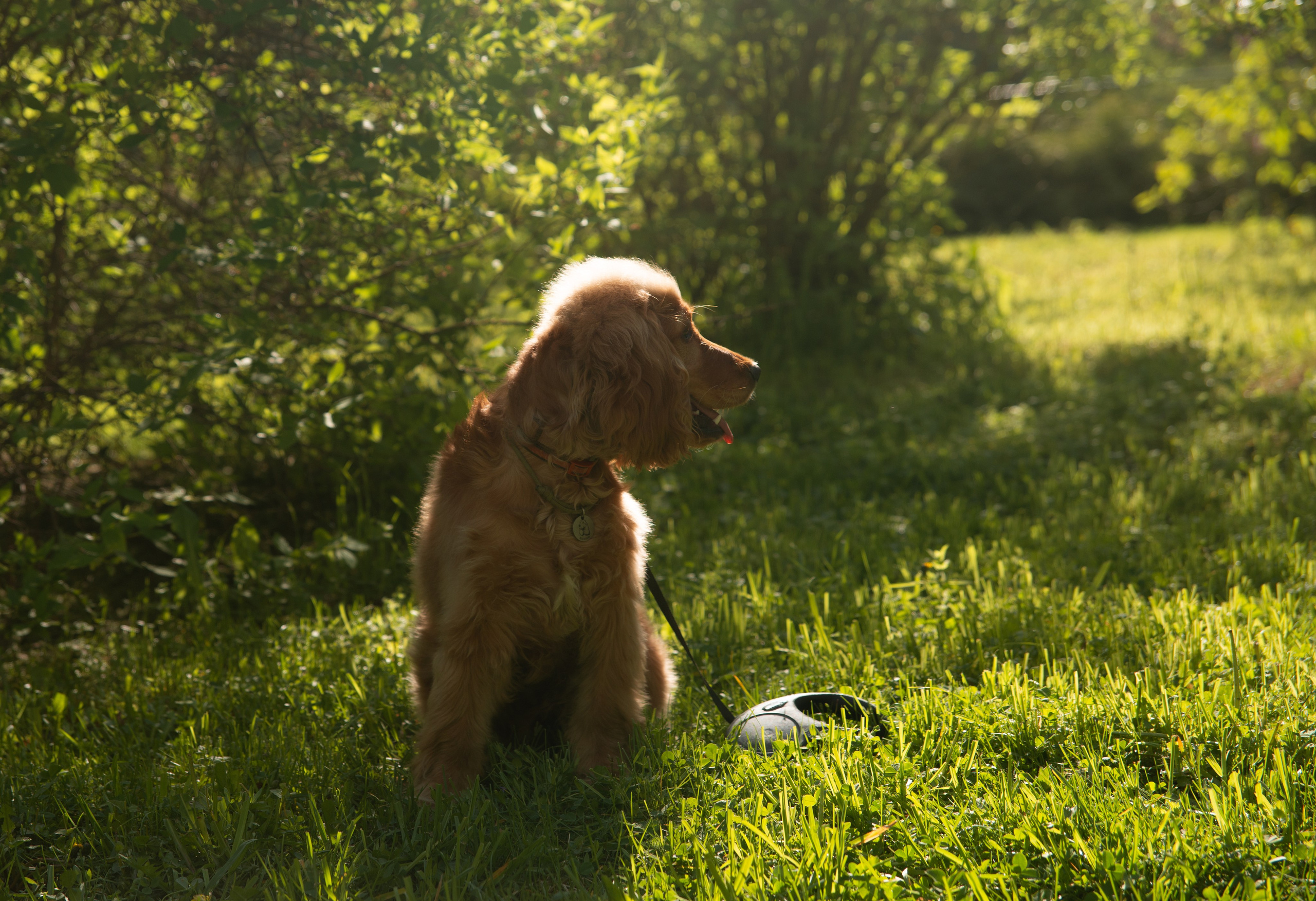 Ура! Каникулы!. Семейный и детский фотограф в Екатеринбурге Наталия Акимова