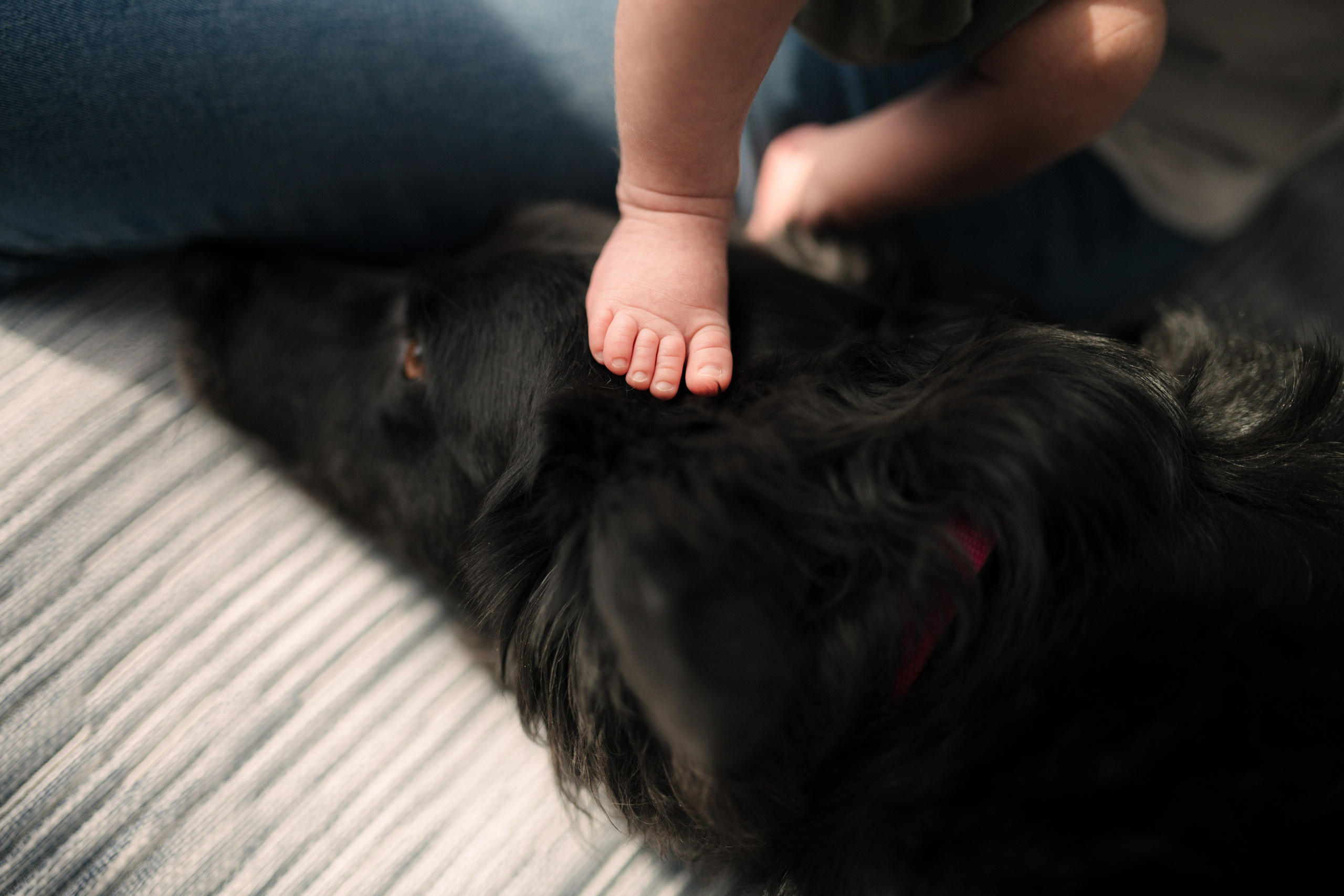 Семейные. Свадебный и семейный фотограф в Севастополе и Крыму Алина Зорина