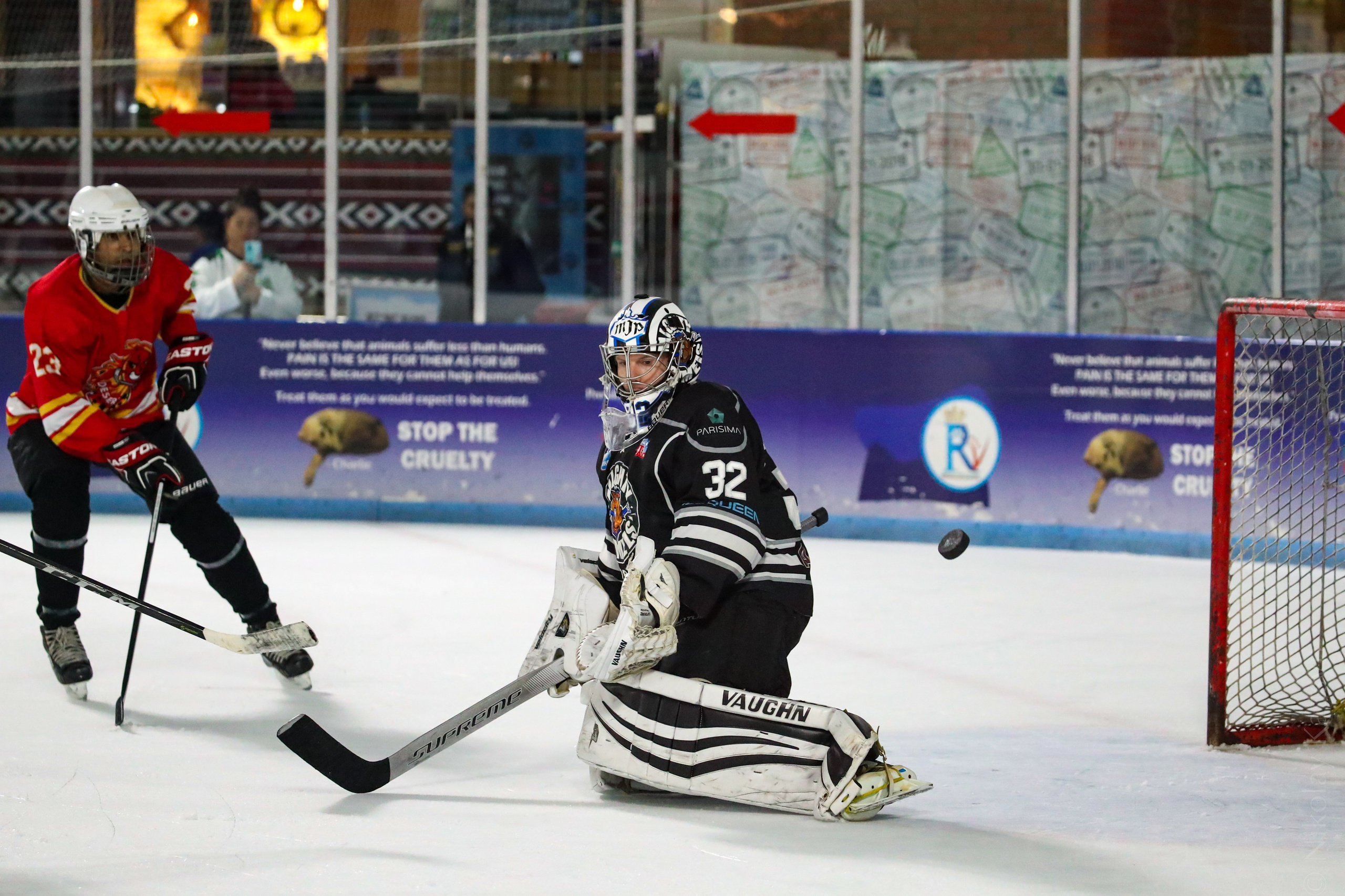 Хоккей. Фотограф в Москве портреты | репортажи | спорт
