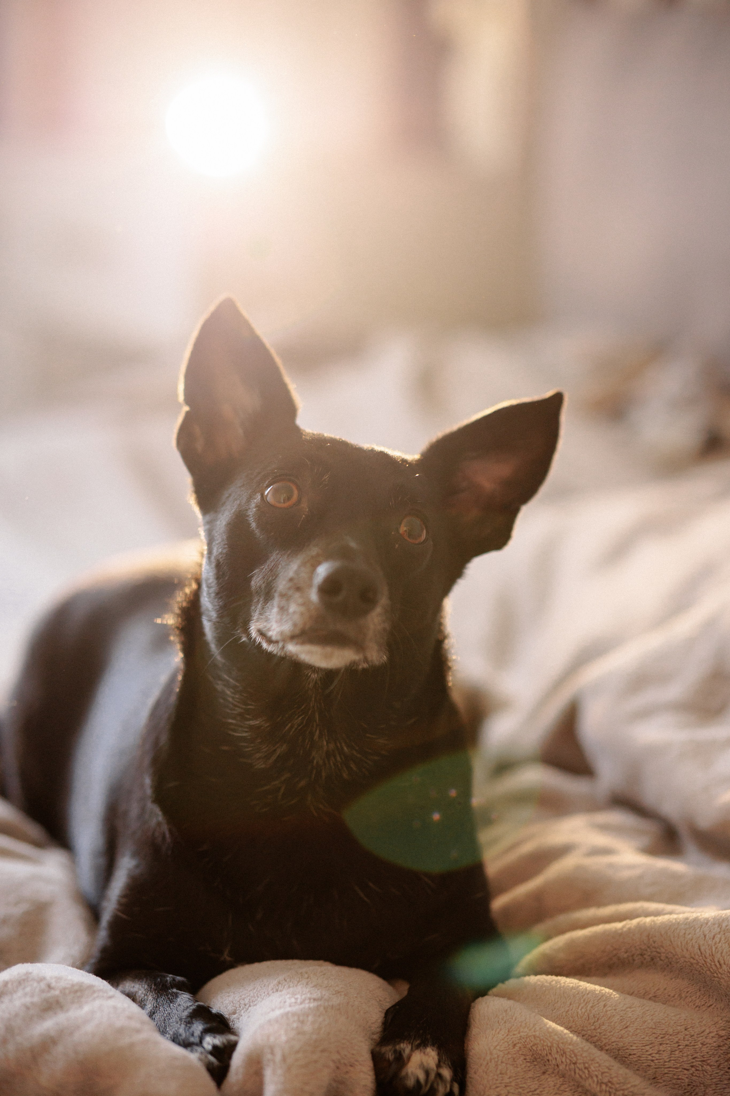 Ася и ее семья. Фотограф в Санкт-Петербурге Алёна Губинская