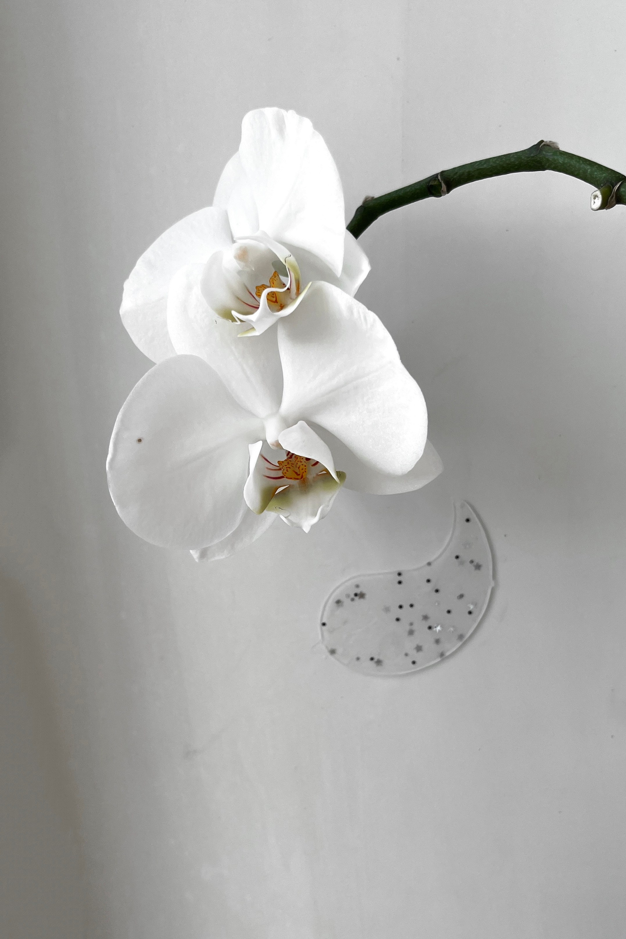 ВИЗУАЛ. Nuga_visual