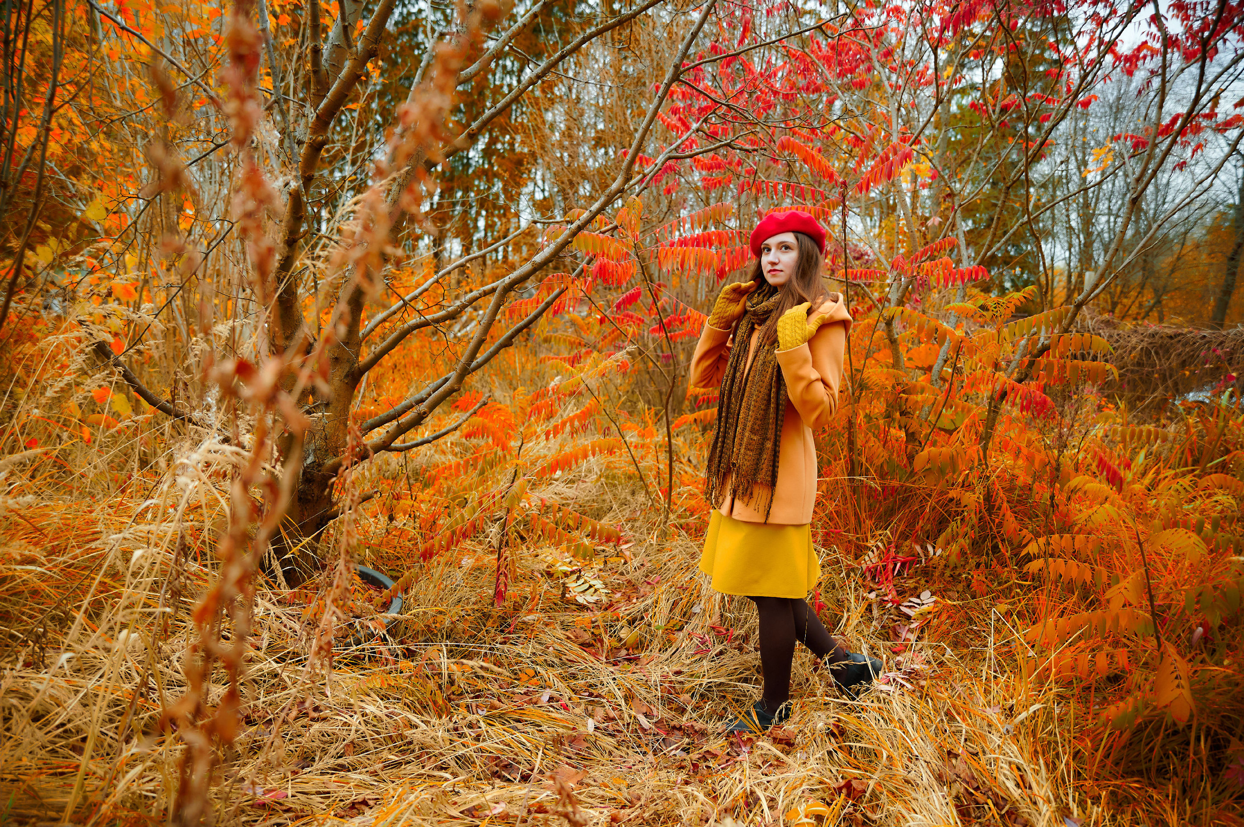 Геометрия и цвет/ Geometry&Color. Профессиональный фотограф Марина Кургачева