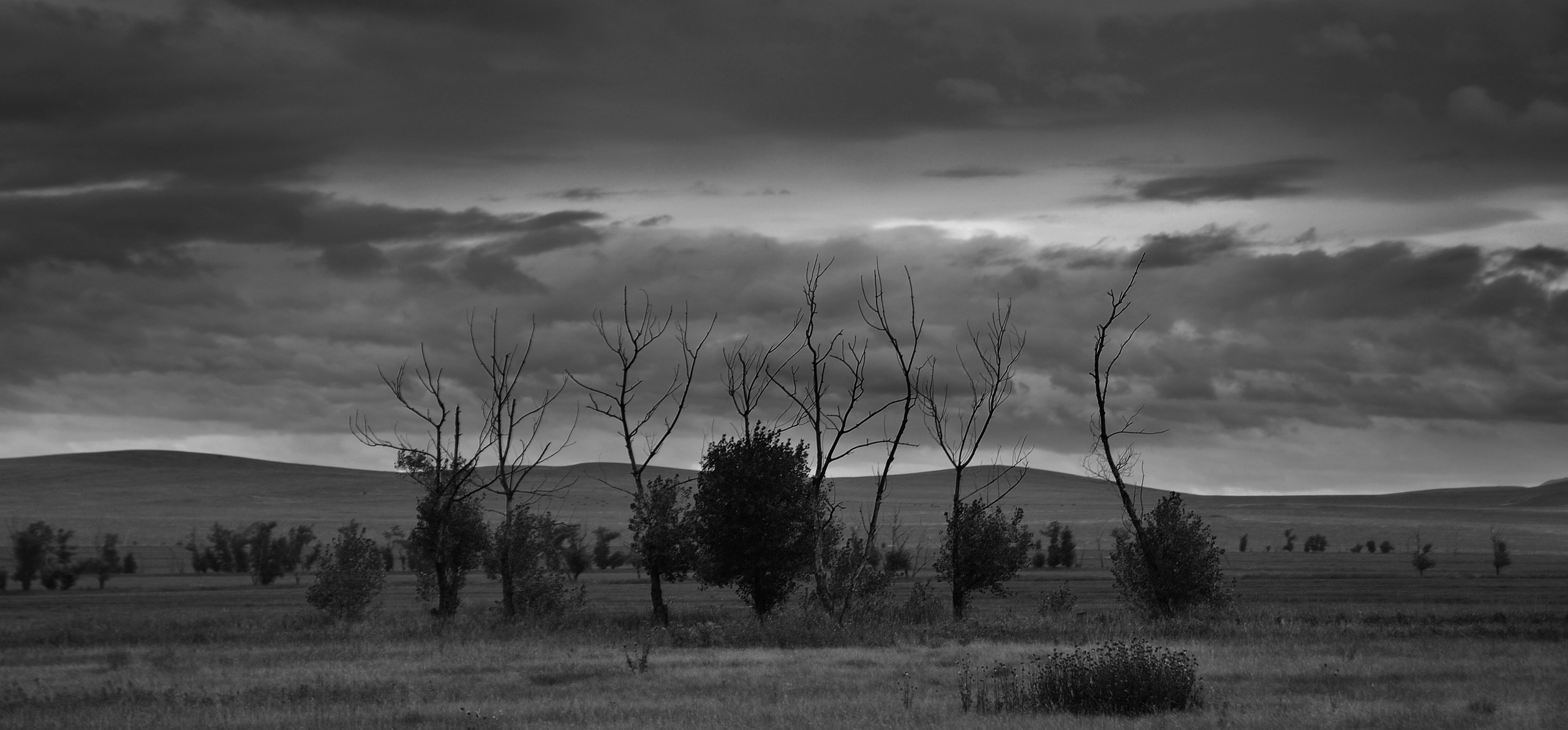 Хакасия черно-белый. Катерина Михеева