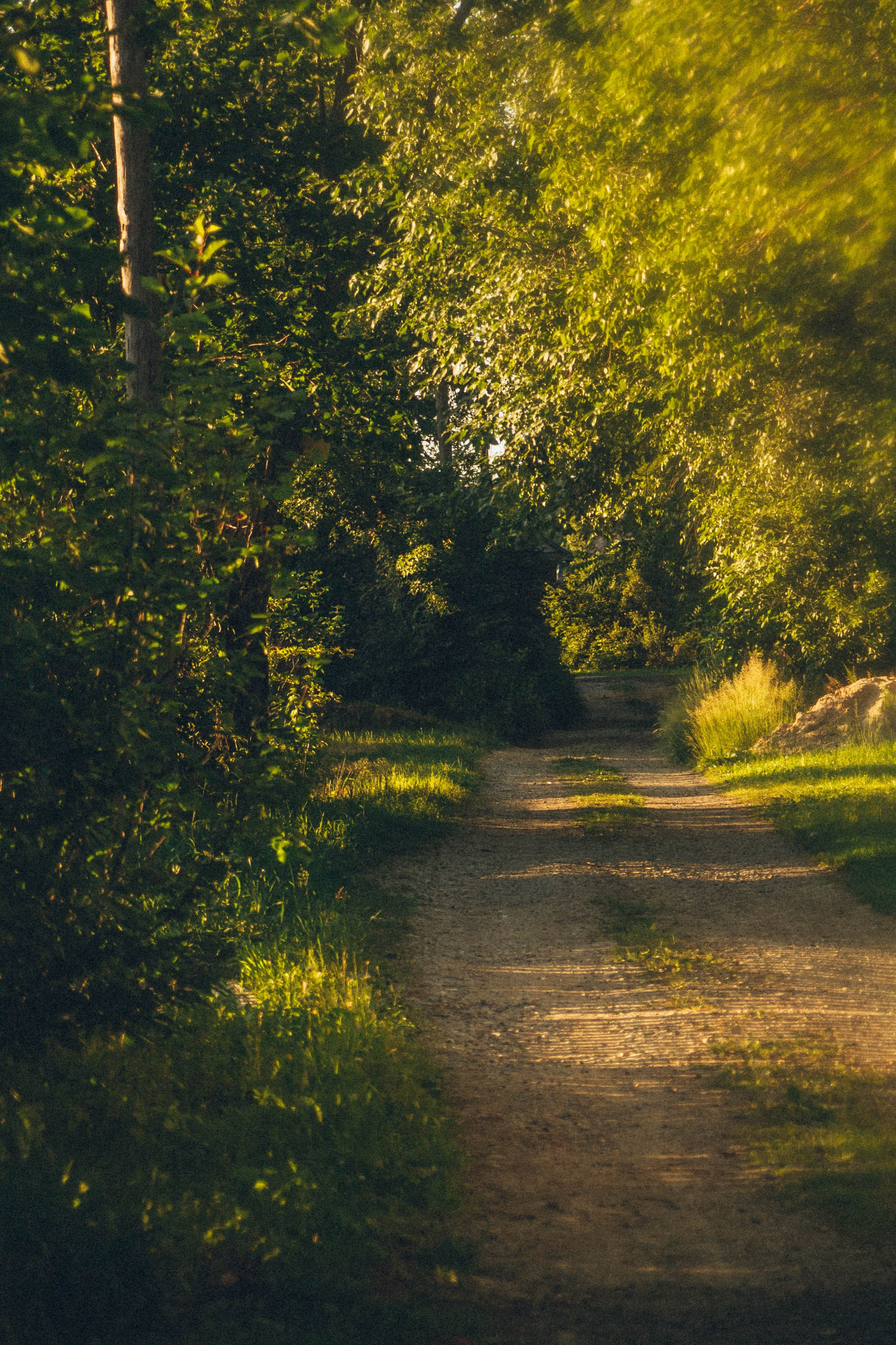 Природа. Darinishna Фэнтези-фотограф Хабаровск