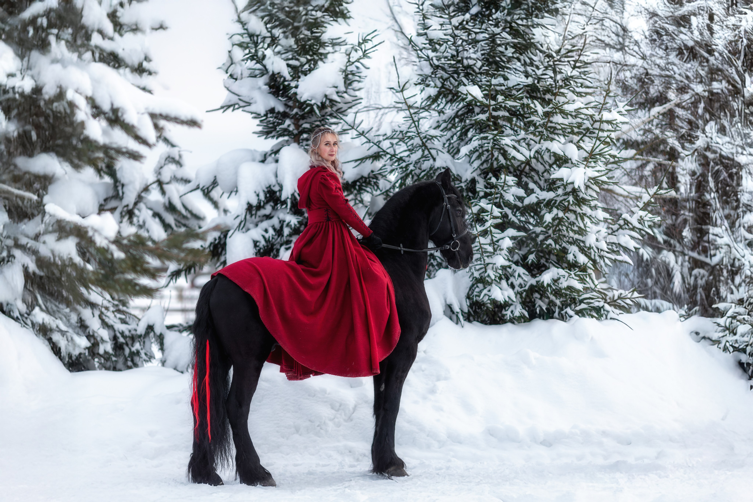 Фотосессия с лошадью зимой. Фотосессии с лошадьми в Москве от фотографа Кутейниковой Светланы