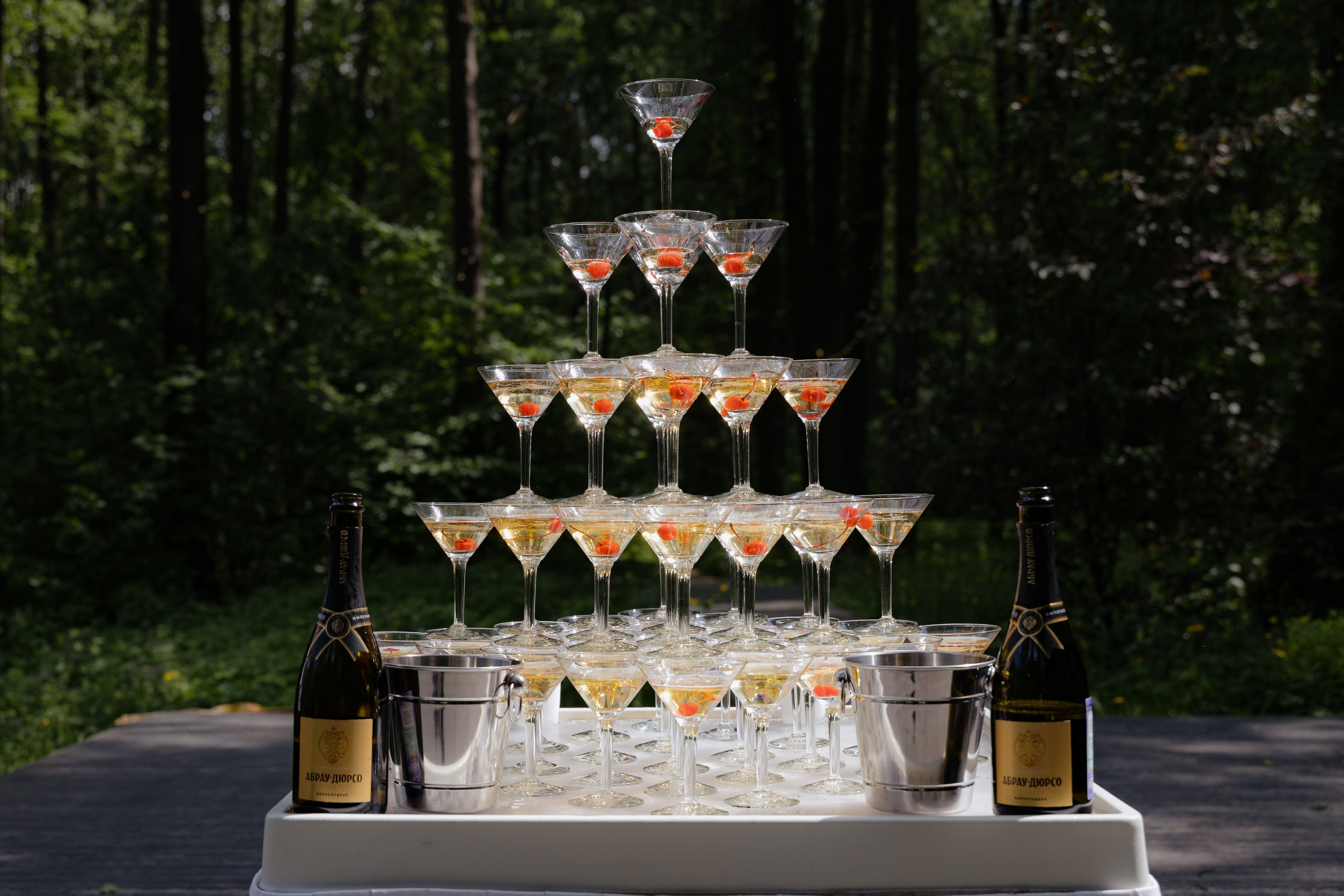 Династии и Карина. Фотограф в Москве Гришин Леонид