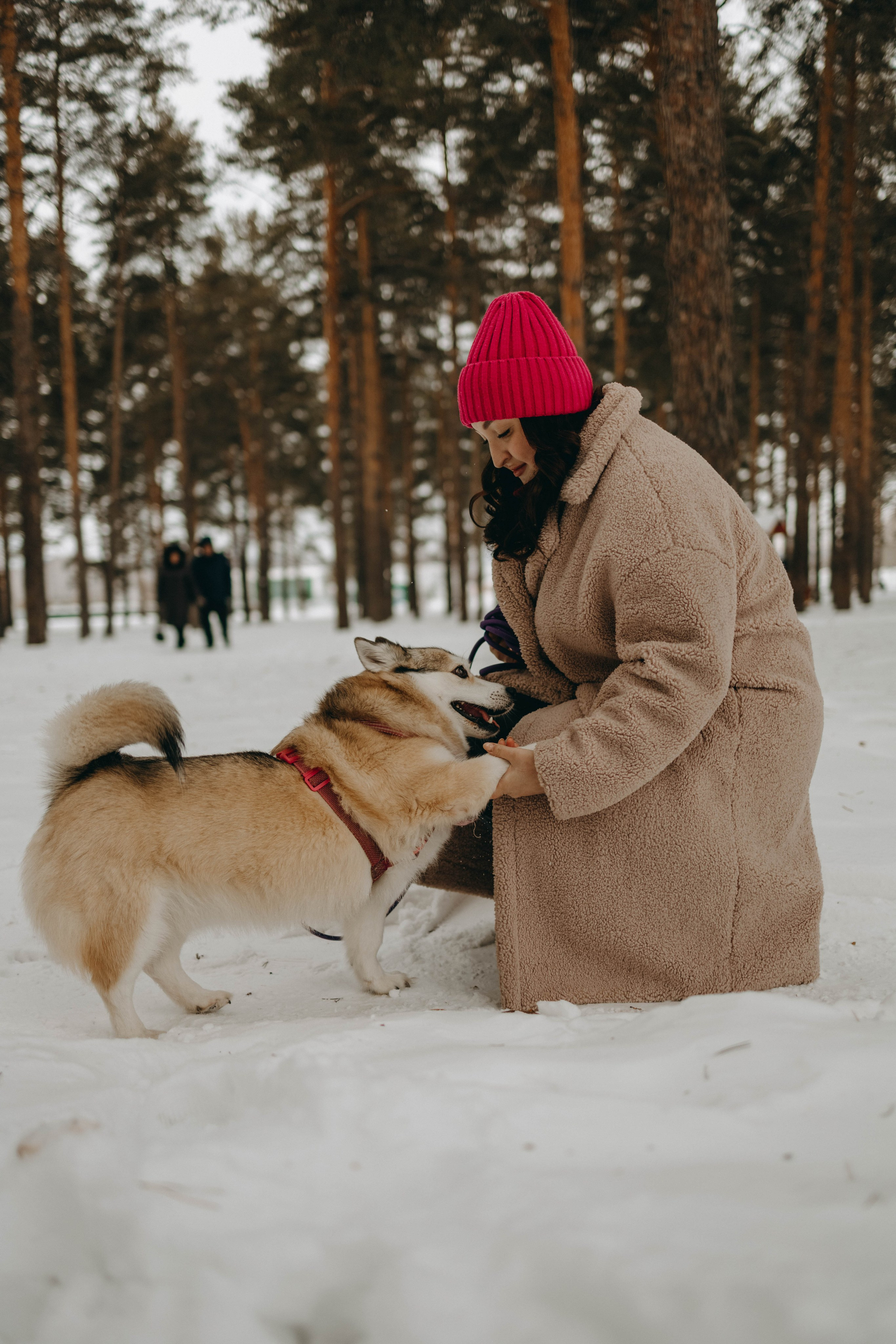 Варвара и Шелби. Фотограф-анималист в Екатеринбурге | Кристина