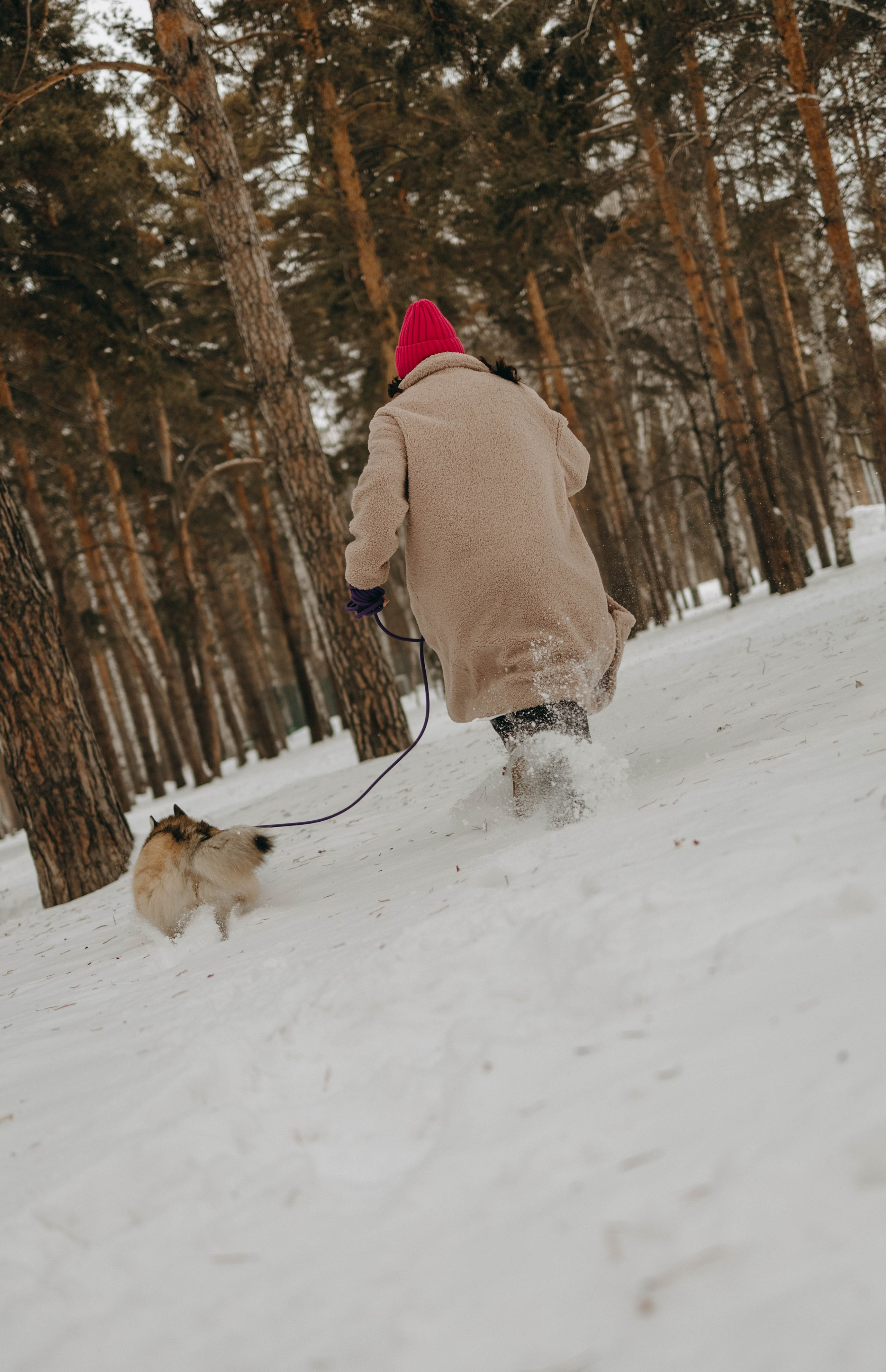 Варвара и Шелби. Фотограф-анималист в Екатеринбурге | Кристина