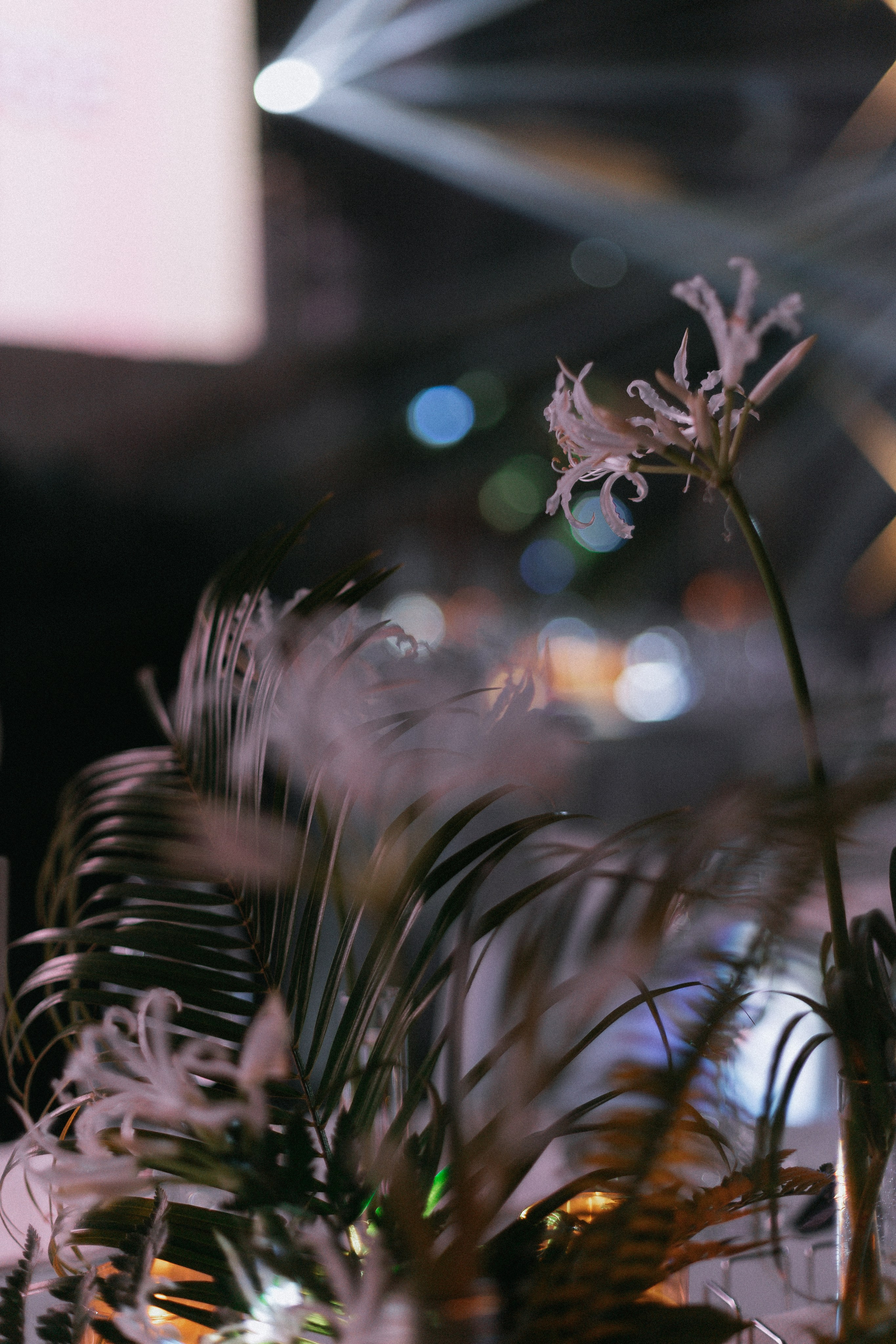 LE MOUSSE. Ланемец Юлия — фотограф Волгоград/Волжский