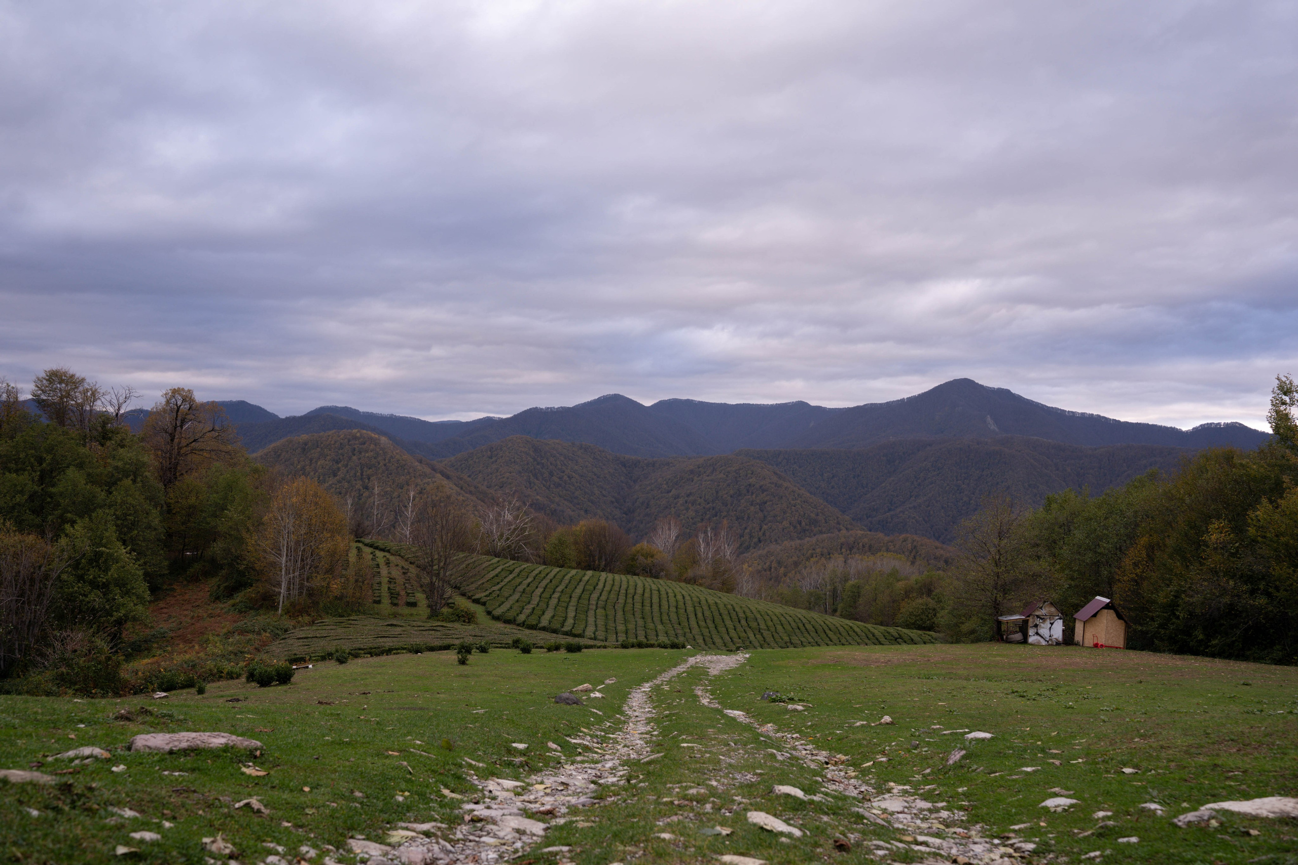 Ростислав и Ева. СВАДЕБНЫЙ ФОТОГРАФ КРАСНОДАР