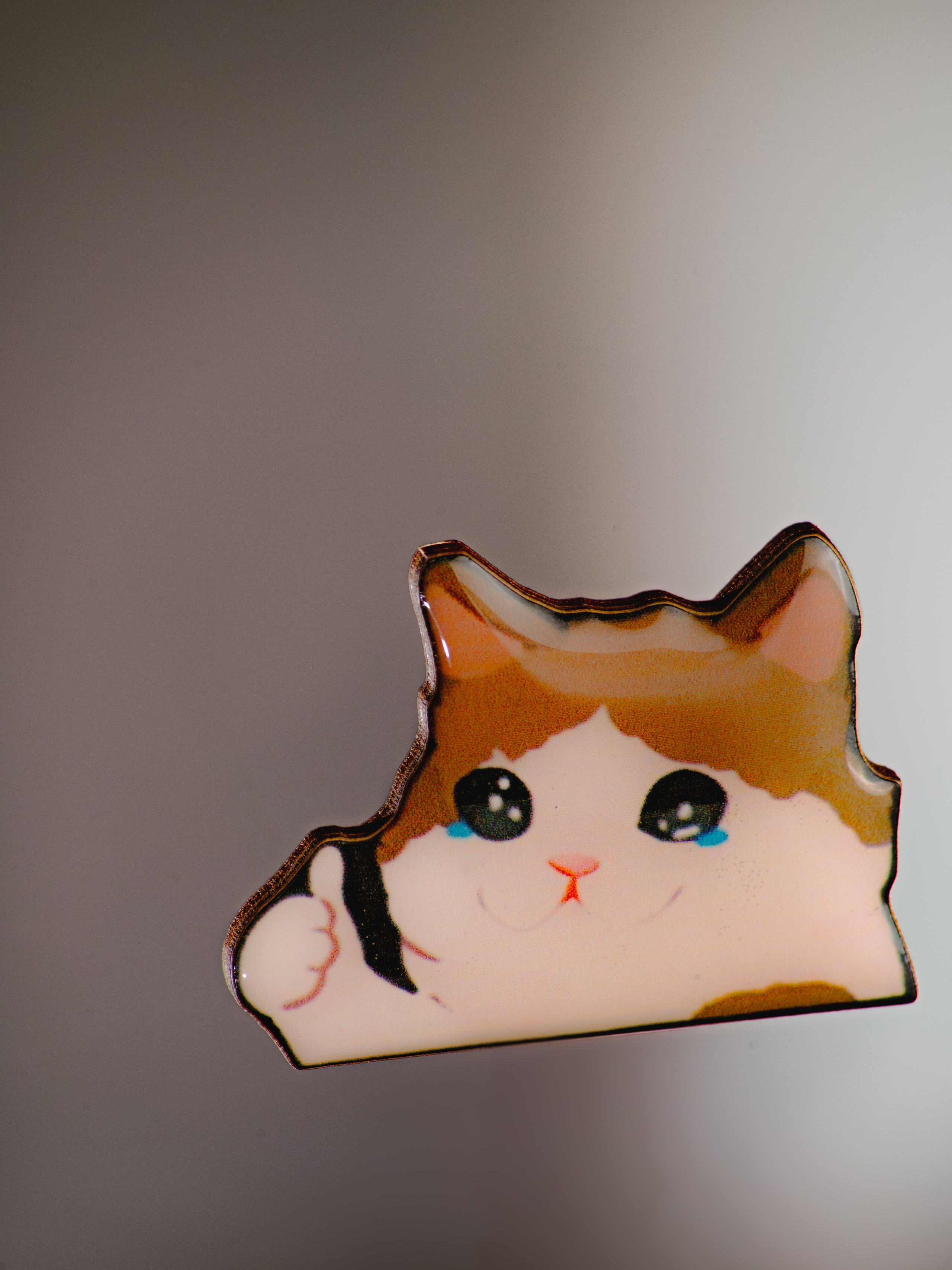 «Вау! Какие милые значки!». Контент фотограф Илья Урс