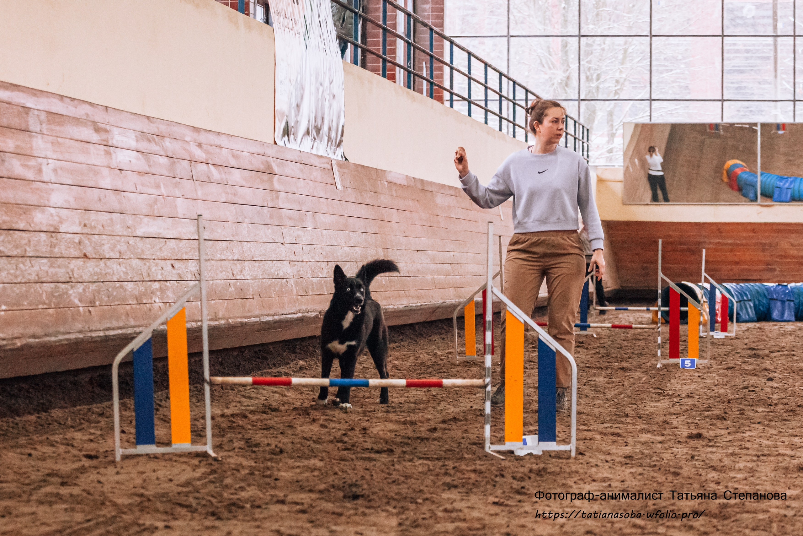 Соревнования по Аджилити 25.02.2024. Фотограф-анималист Татьяна Степанова