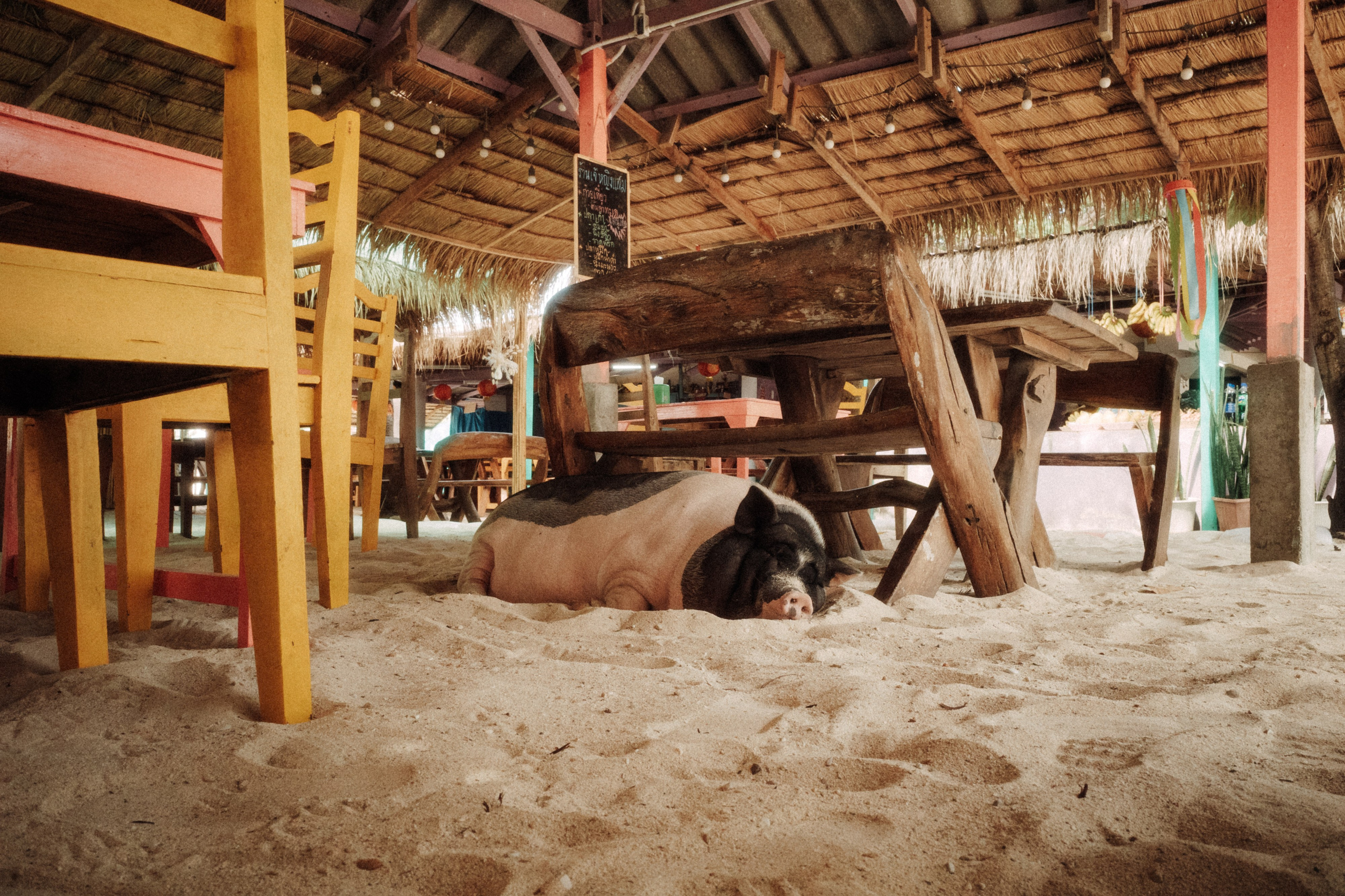 Тайланд плёнка. Свадебный фотограф в Спб Сергей Баланян