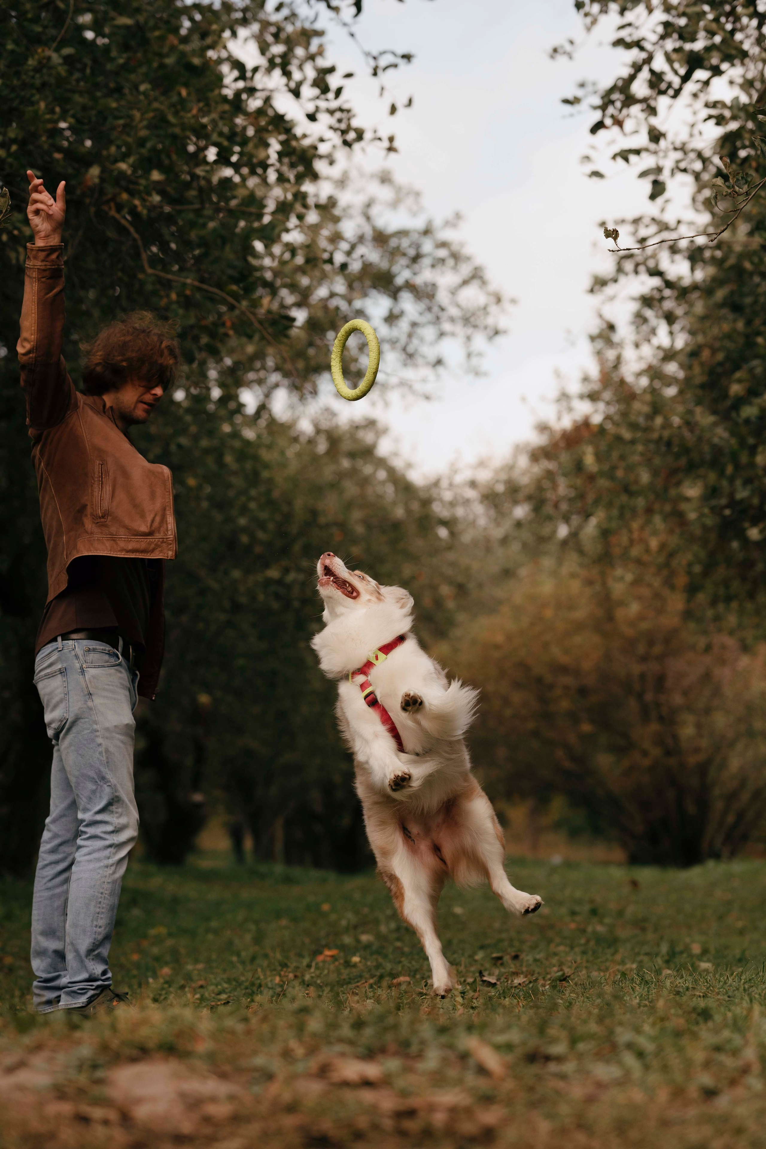 Дженни. Фотограф- анималист Александра Матвеева