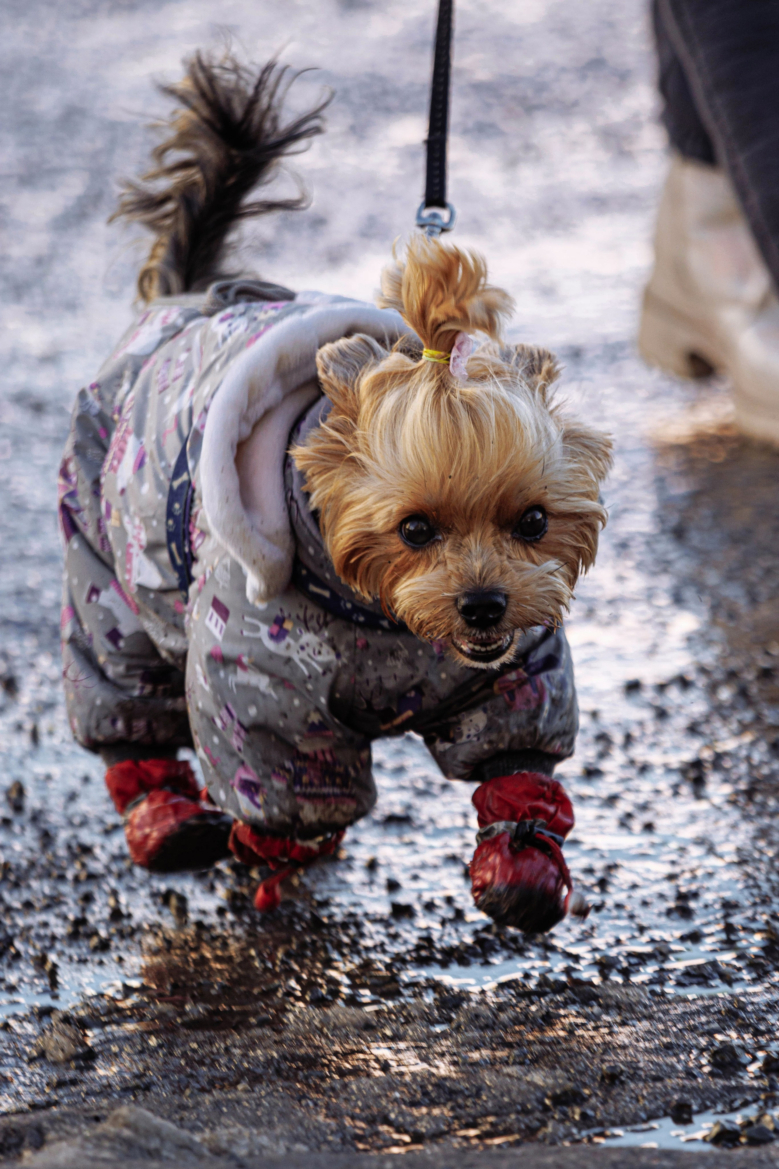 UrbanRothkoStreet. Street photographer