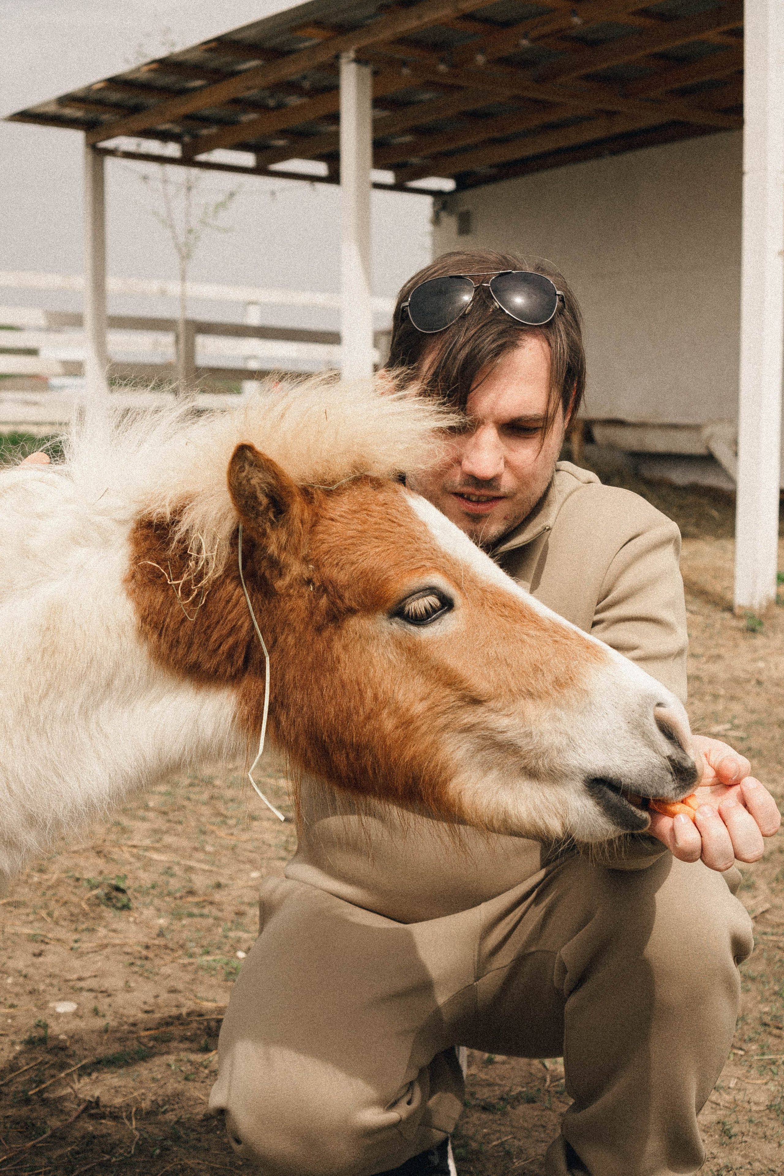 Ферма Альпак. Профессиональный фотограф, Санкт-Петербург — Виктория Богомолова