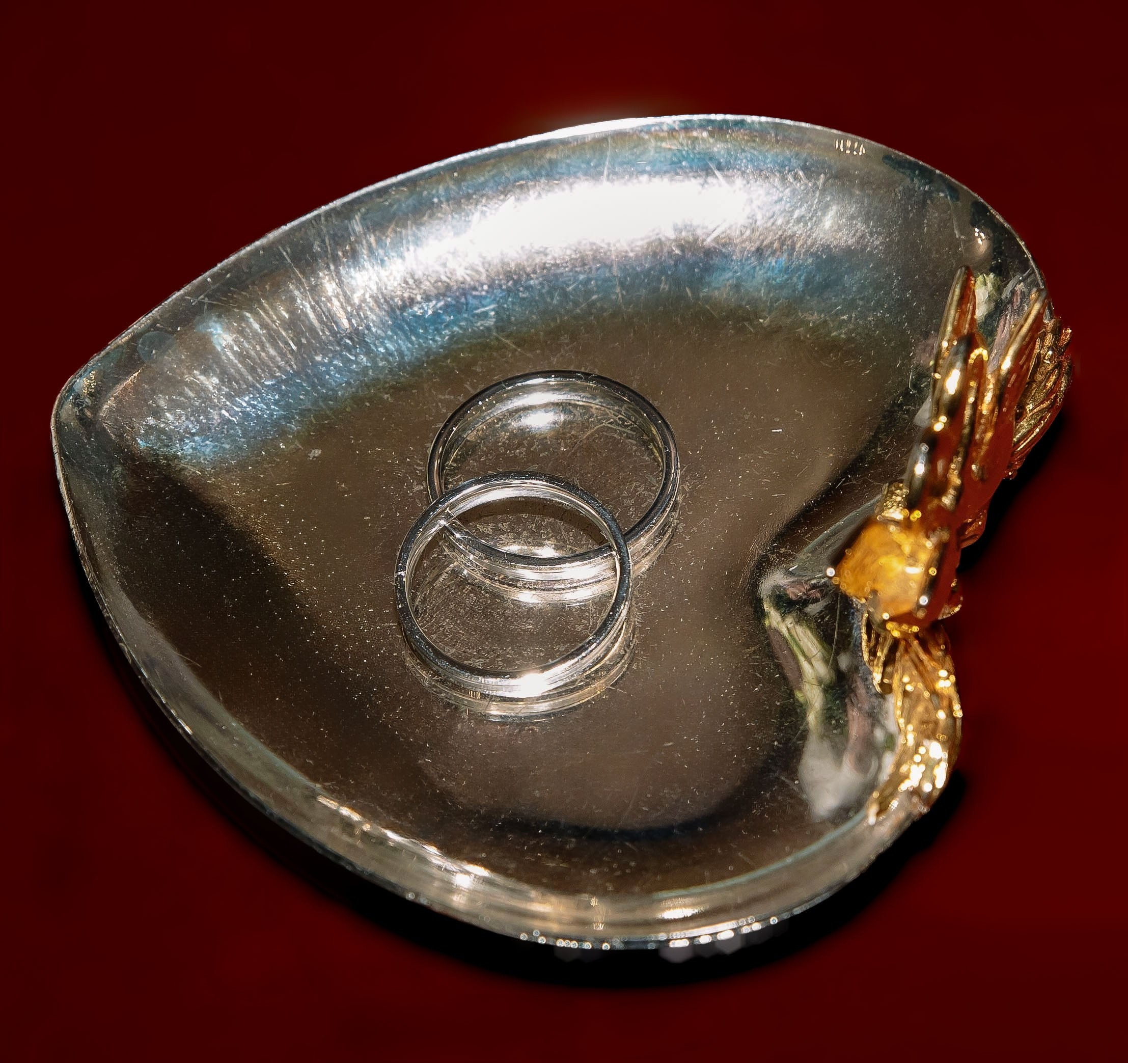 Свадебный фотограф в Москве — профессиональная фотосъемка свадьбы. Профессиональный фотограф в Москве | Заказать фотосессию и съемку