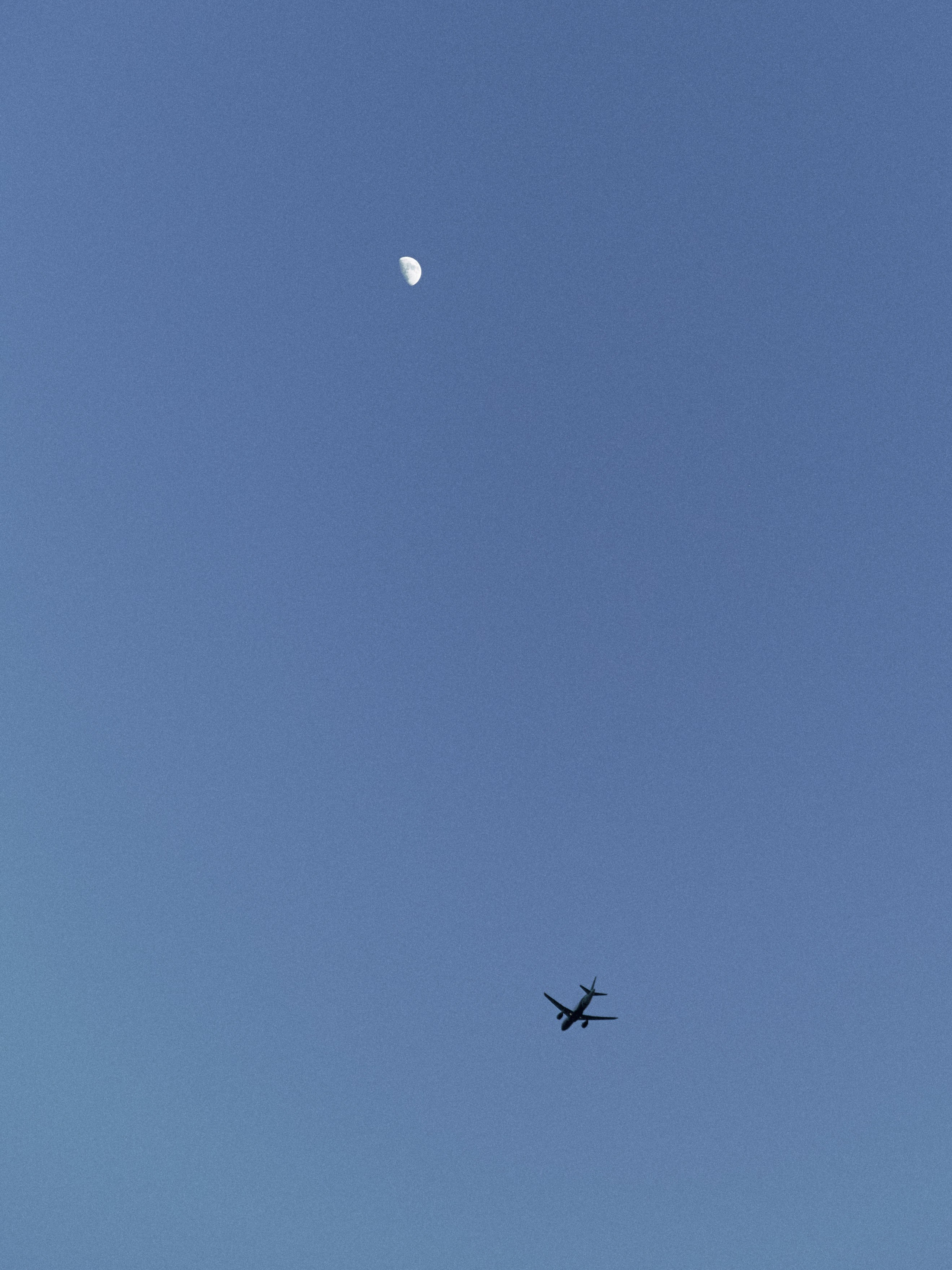 Диптих. Jorgis — фотограф в Хургаде / обучение фотографии