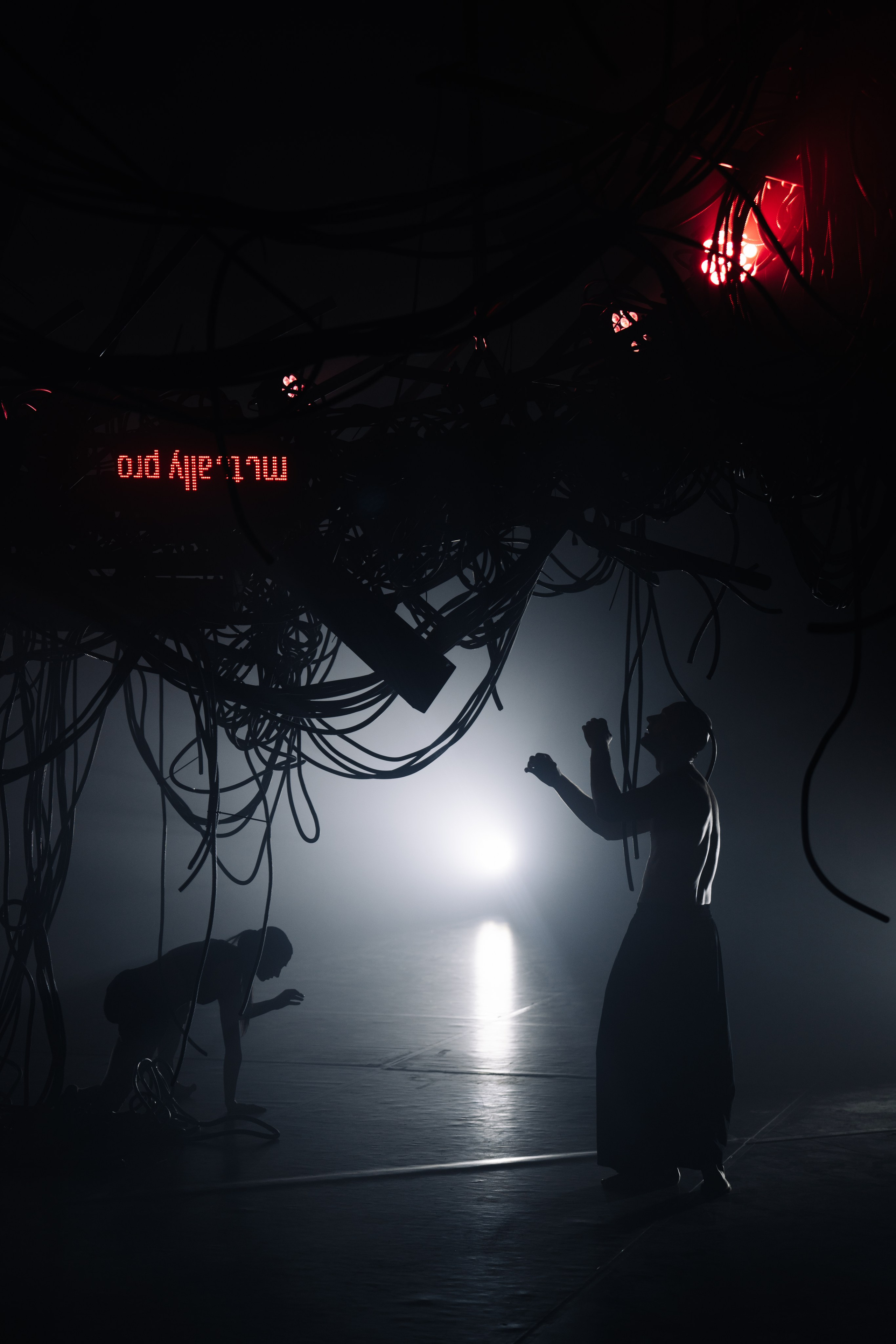 PERFORMA, The Hour of the Horse. @tomrus: Рустам Шагиморданов — фотограф