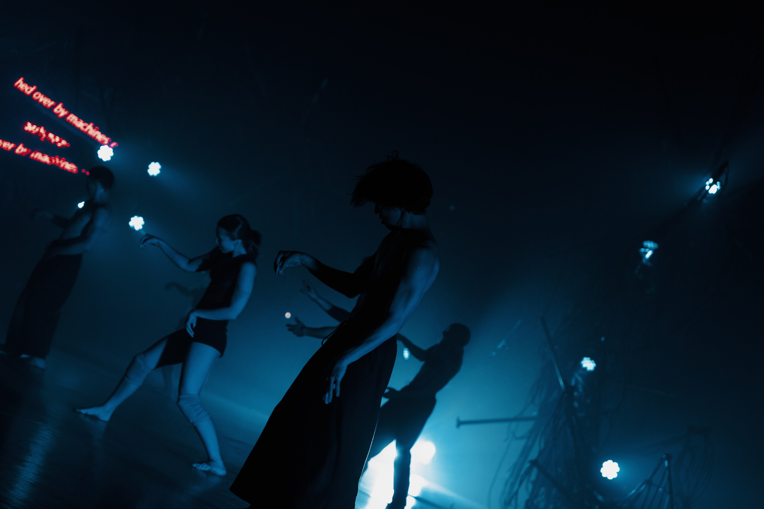 PERFORMA, The Hour of the Horse. @tomrus: Рустам Шагиморданов — фотограф