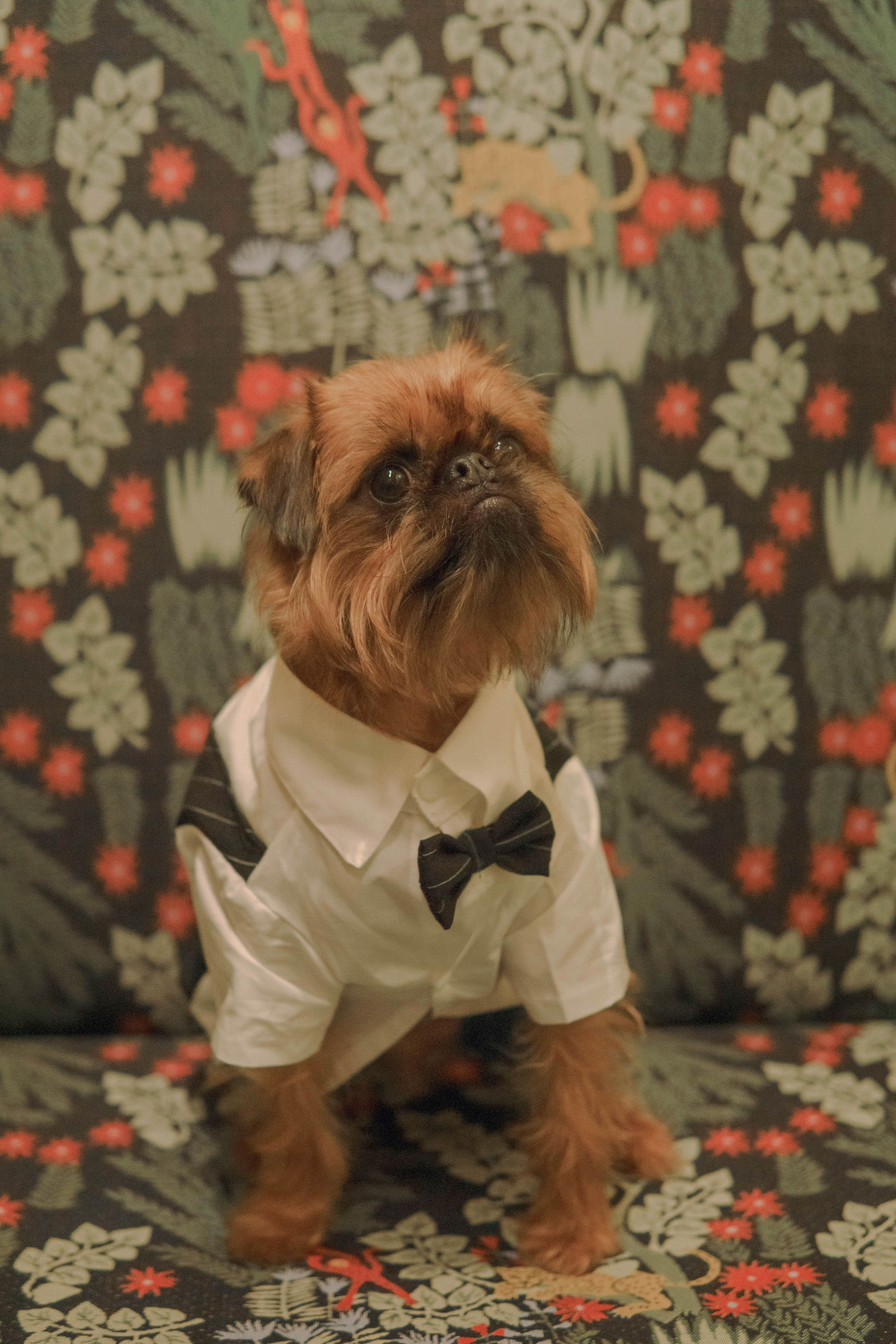 Наташа и Хавьер. Фотограф-анималист Ксения Воробьева, Москва