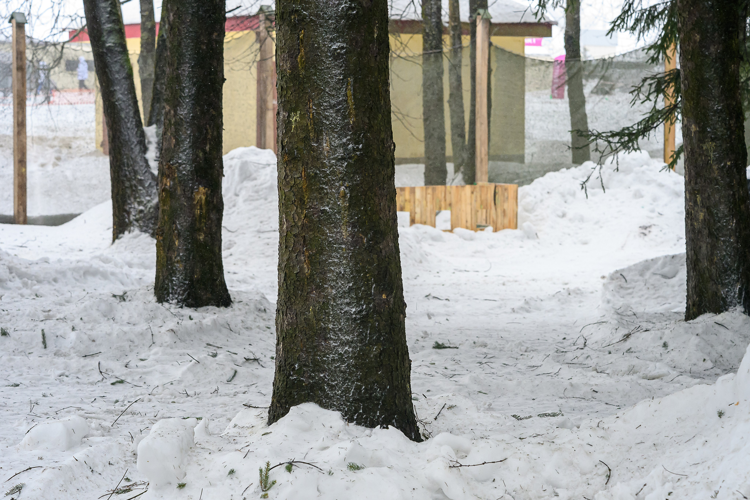 Зимняя спартакиада УД. Фотоуслуги, услуги фотографа, фотографирование важных событий