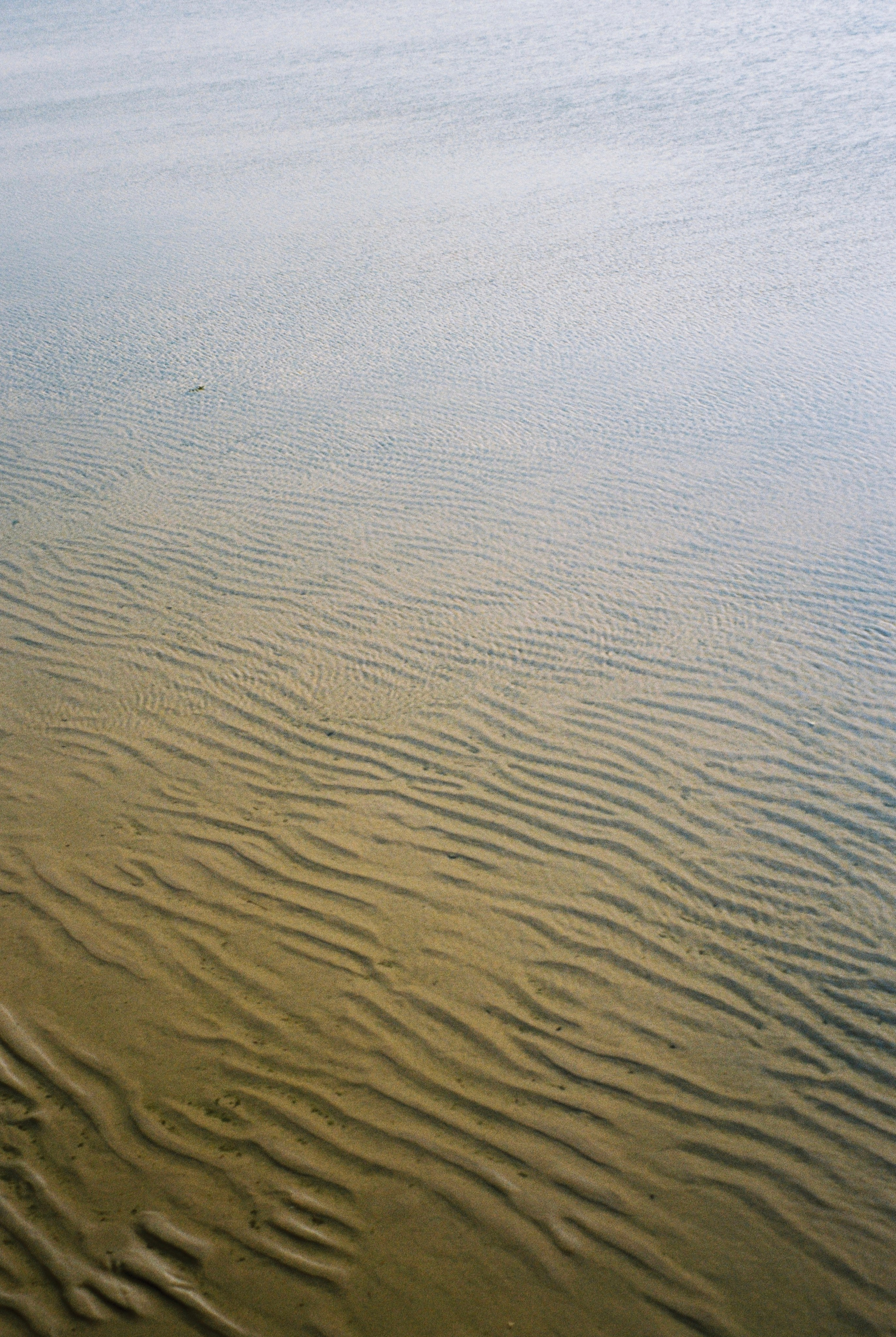 Всякие картинки