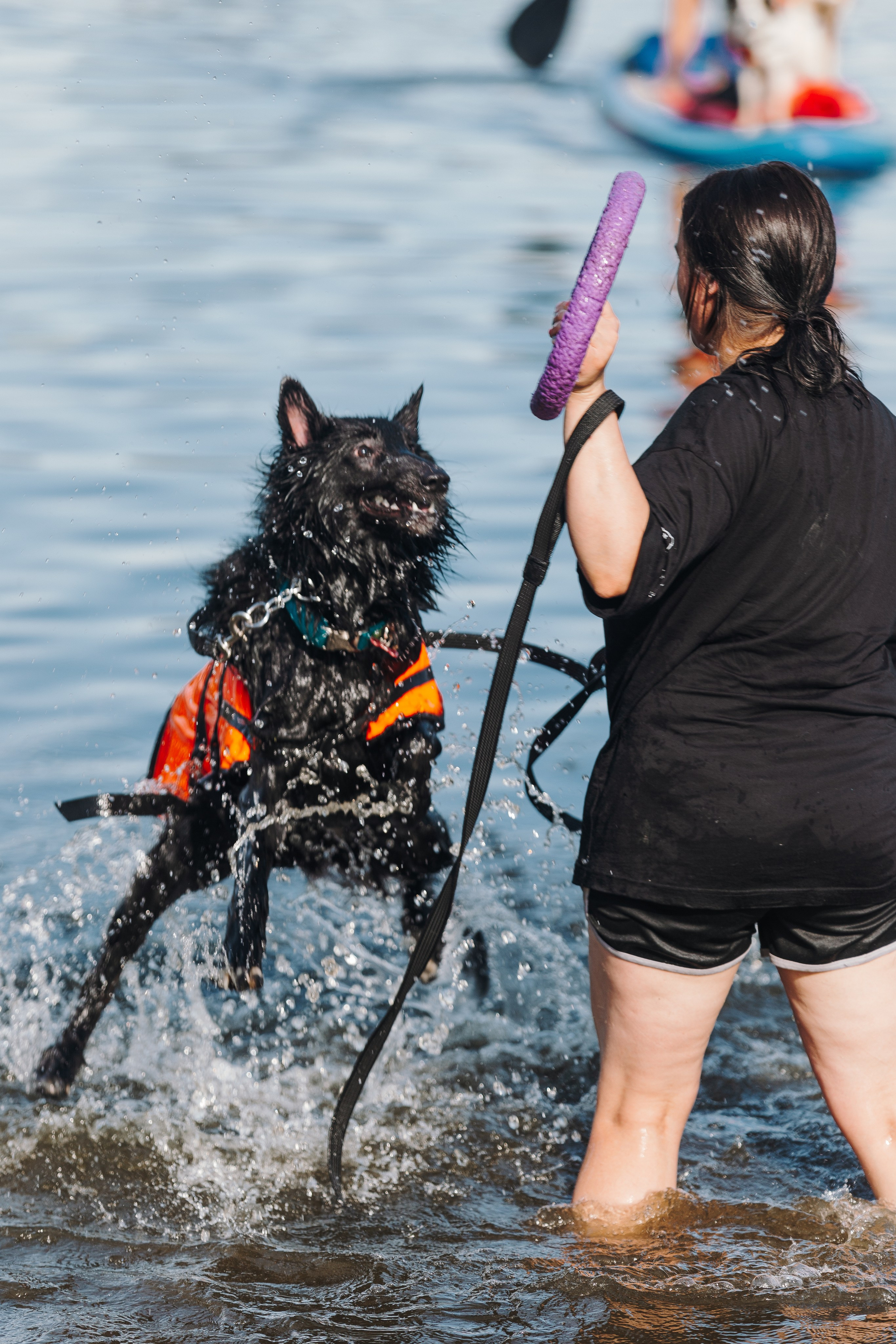 Petshop Sup day. Фотограф анималист Кристина Карпова, Москва