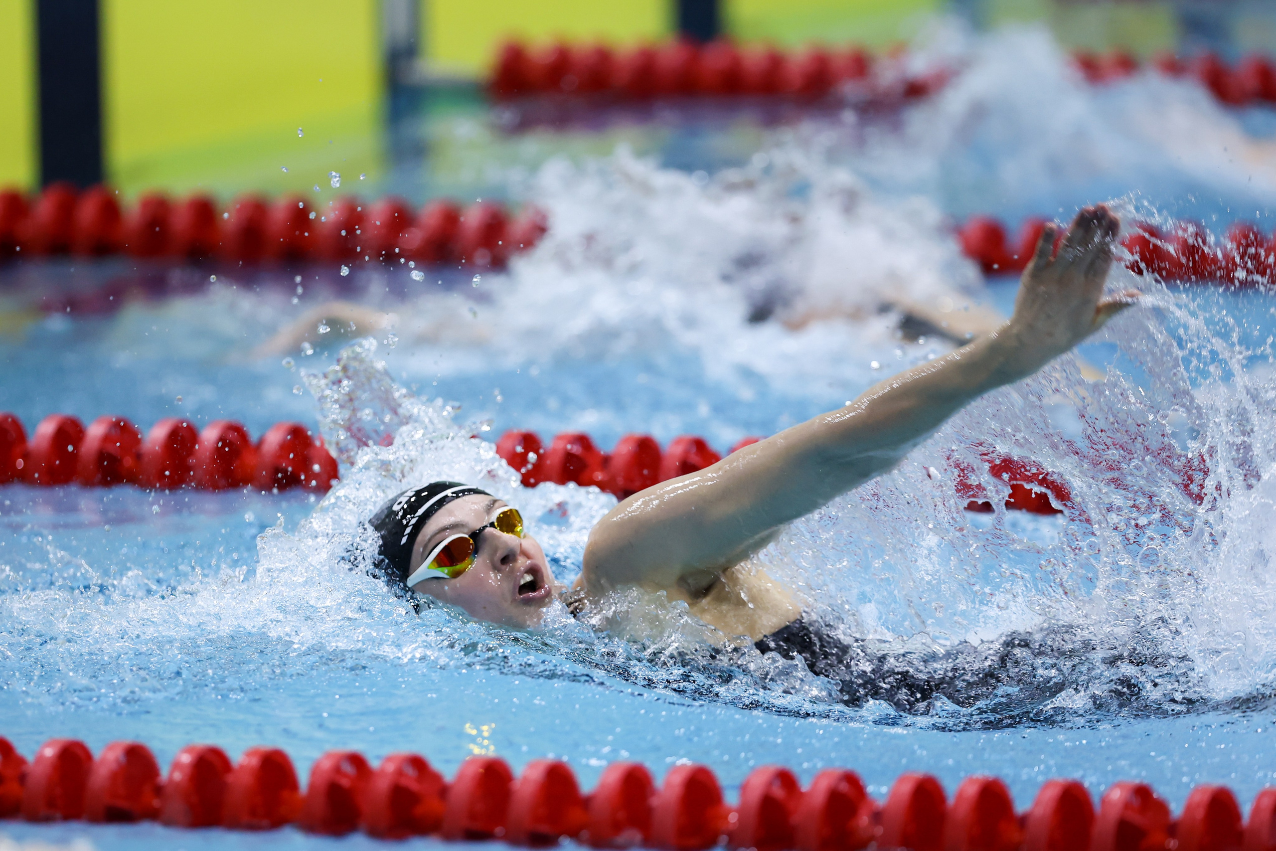 Чемпионат России по плаванию 25 м 21-26.11.2024. Спортивный и репортажный фотограф Антон Тереханов