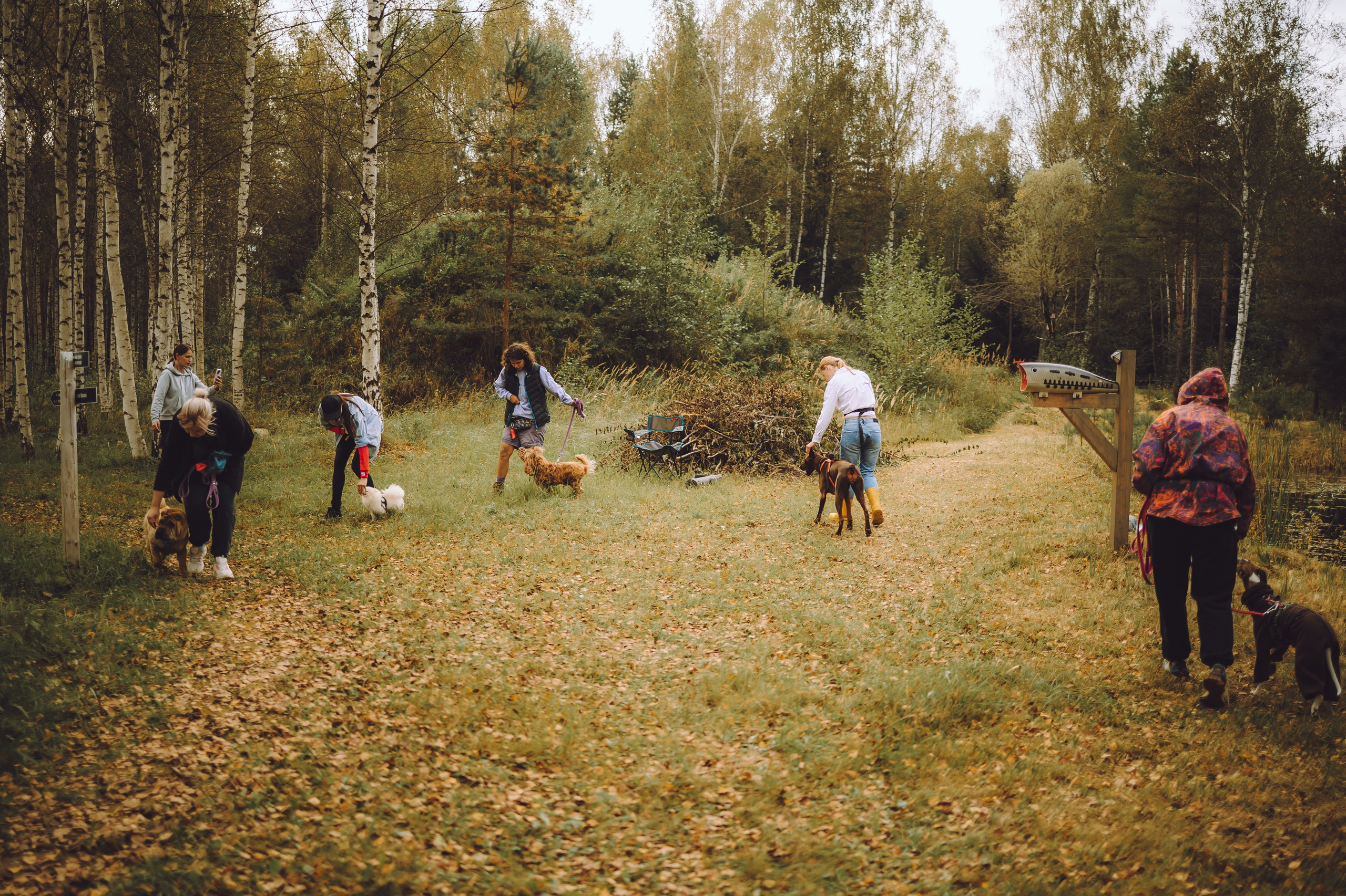 Выездной дог-тренинг от школы «Шерсть имею», Тованово