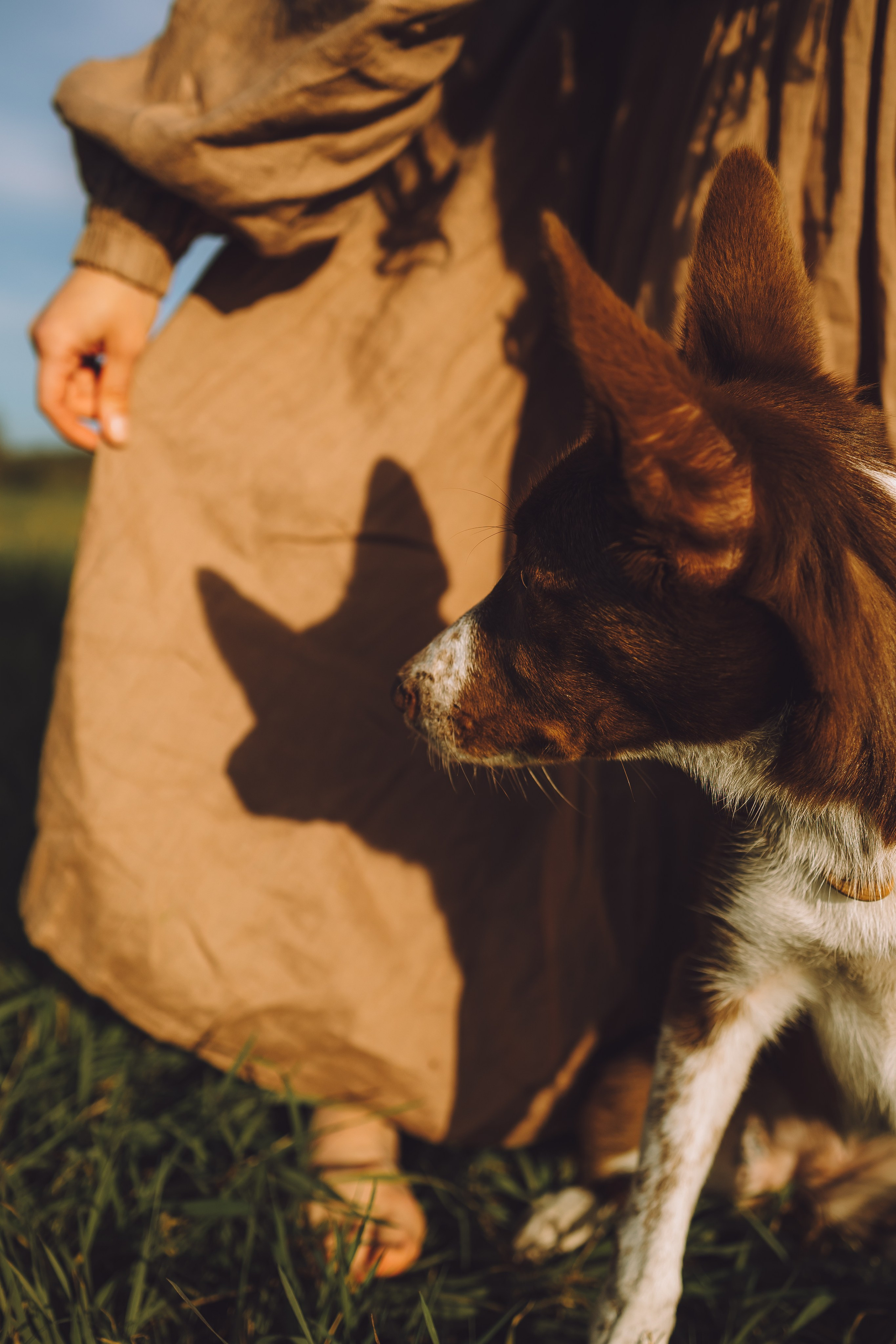 Выездной дог-тренинг от школы «Шерсть имею», Тованово